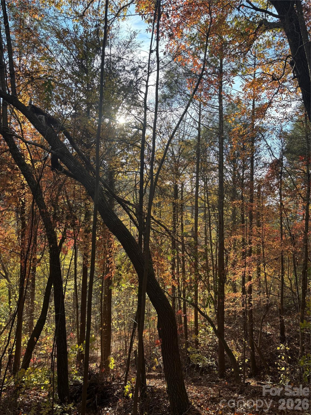 000 Cook Cove Road #2 - Photo 12