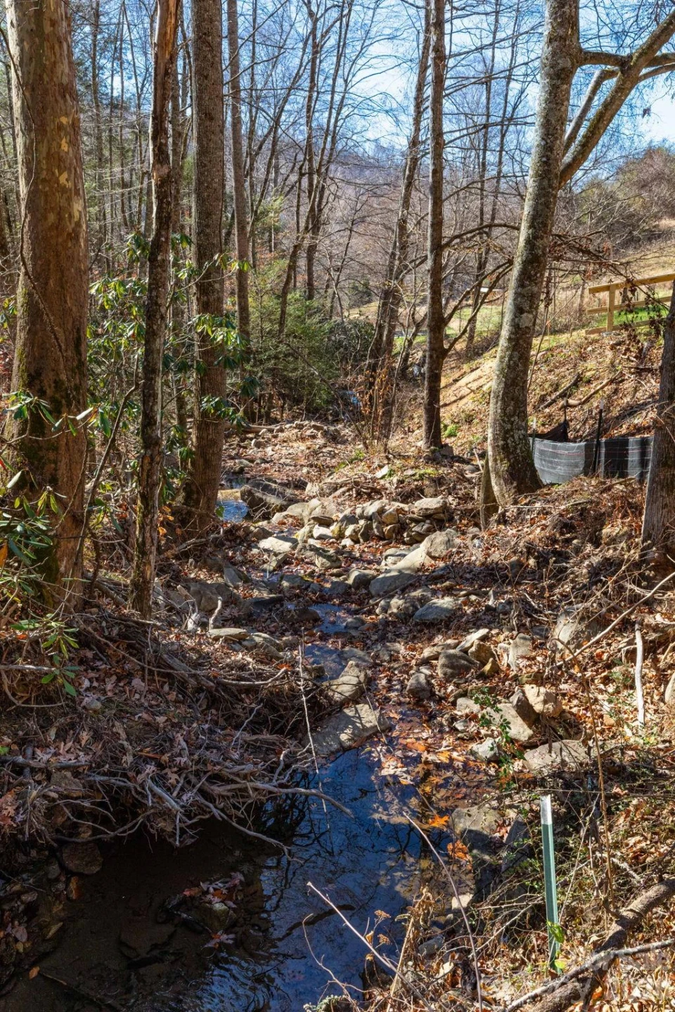 000 Cook Cove Road #2 - Photo 8