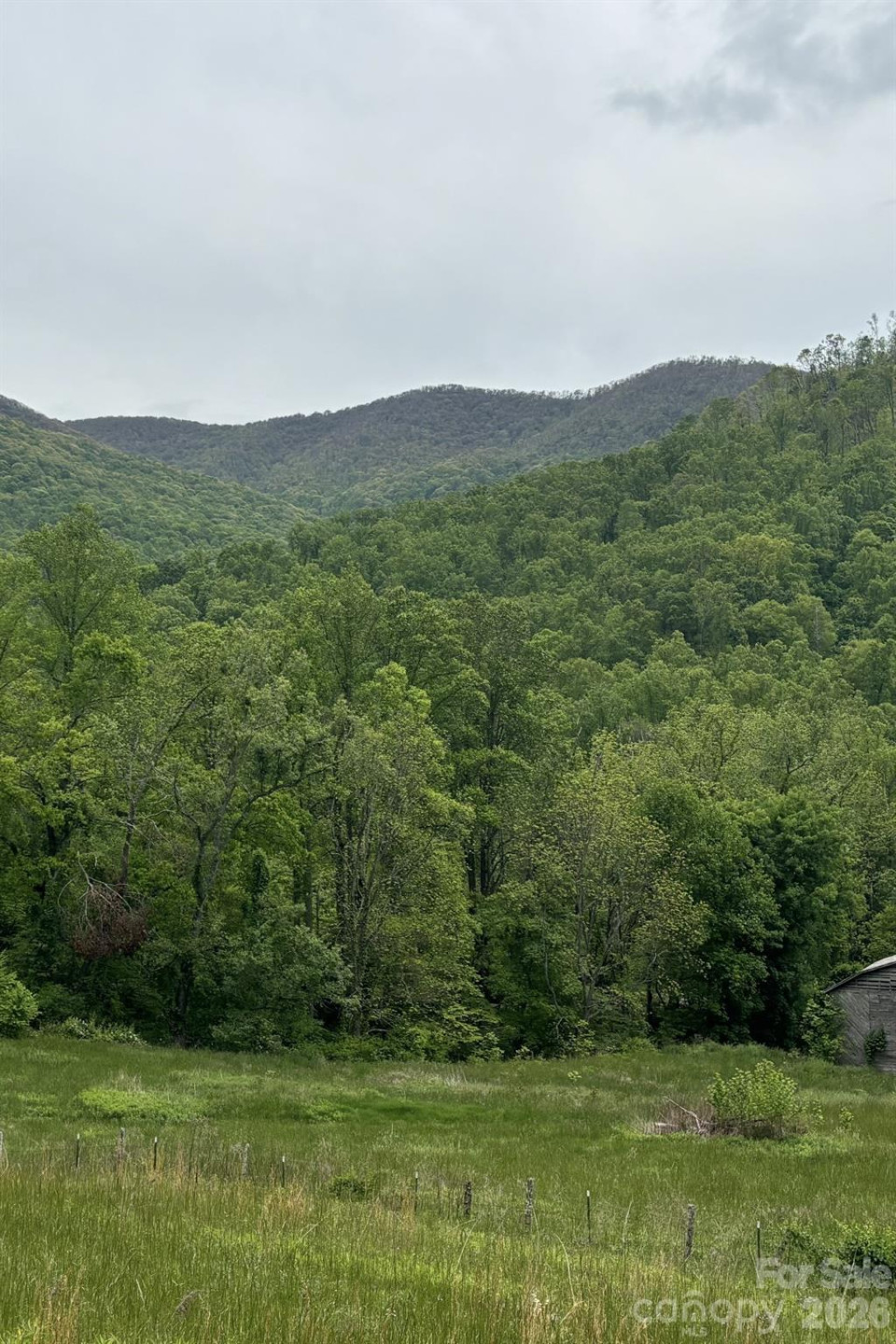 000 Cook Cove Road #2 - Photo 10