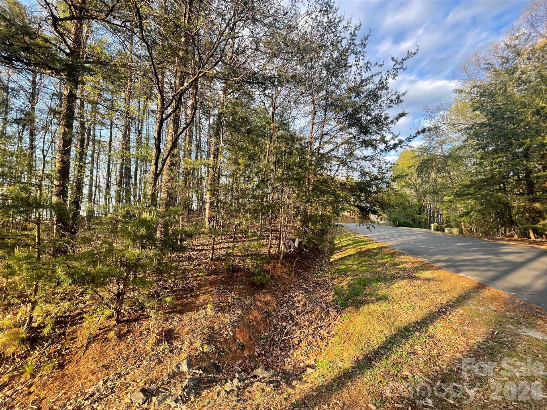 45 Woodgate Drive - Photo 2