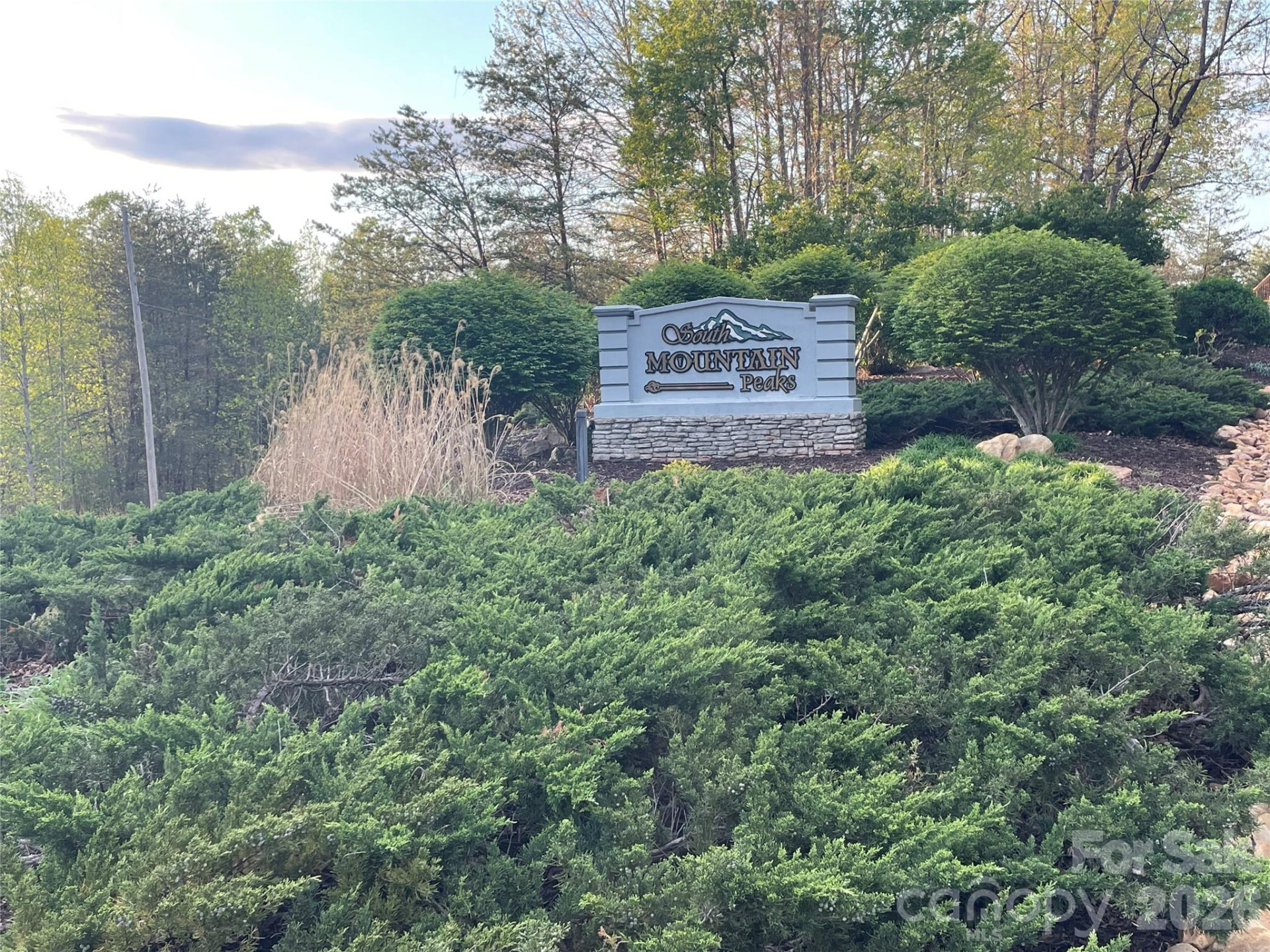 45 Woodgate Drive - Photo 12