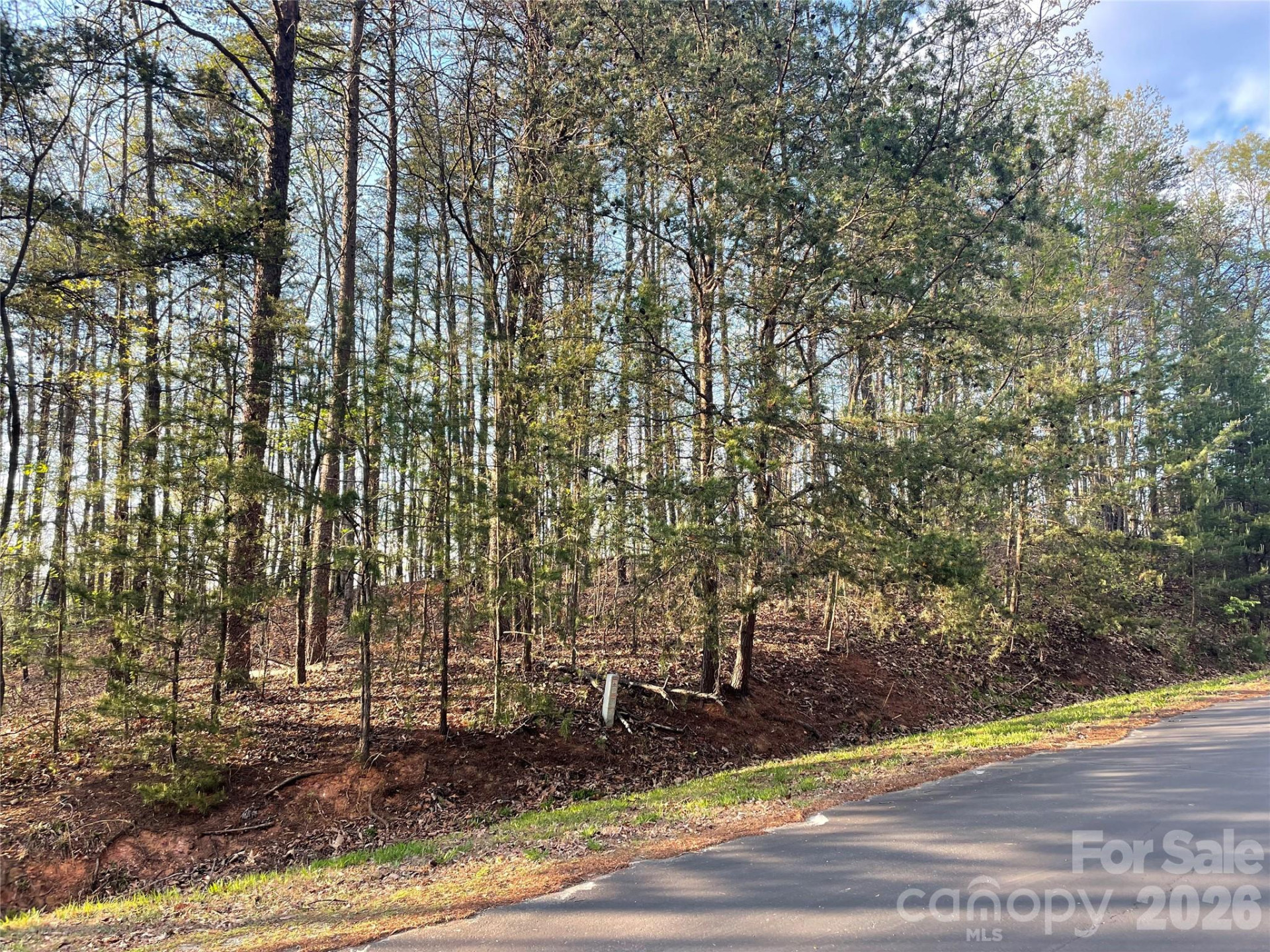 45 Woodgate Drive - Photo 3