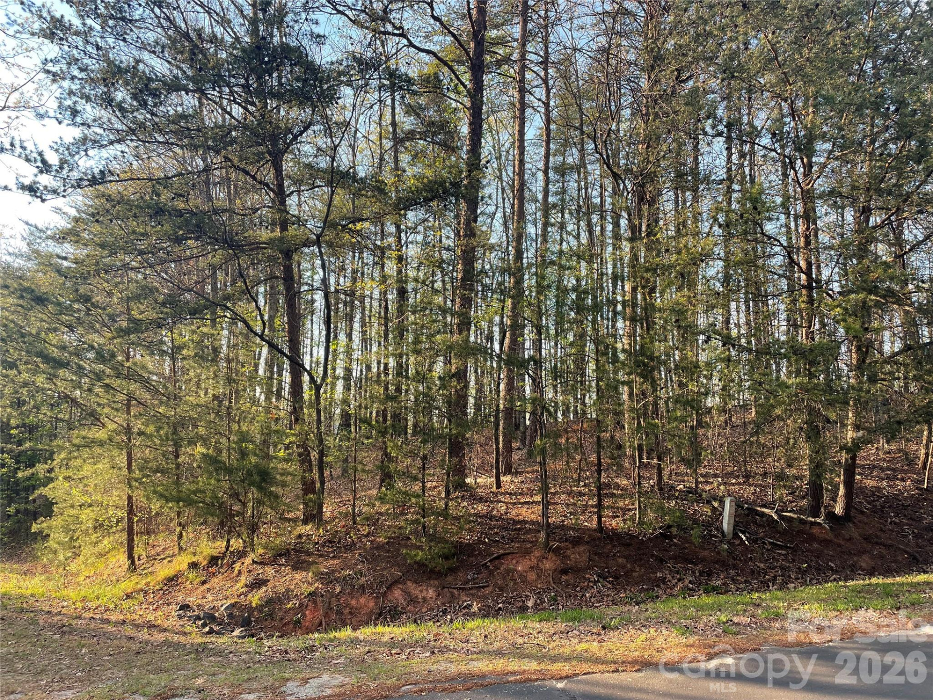 45 Woodgate Drive - Photo 4