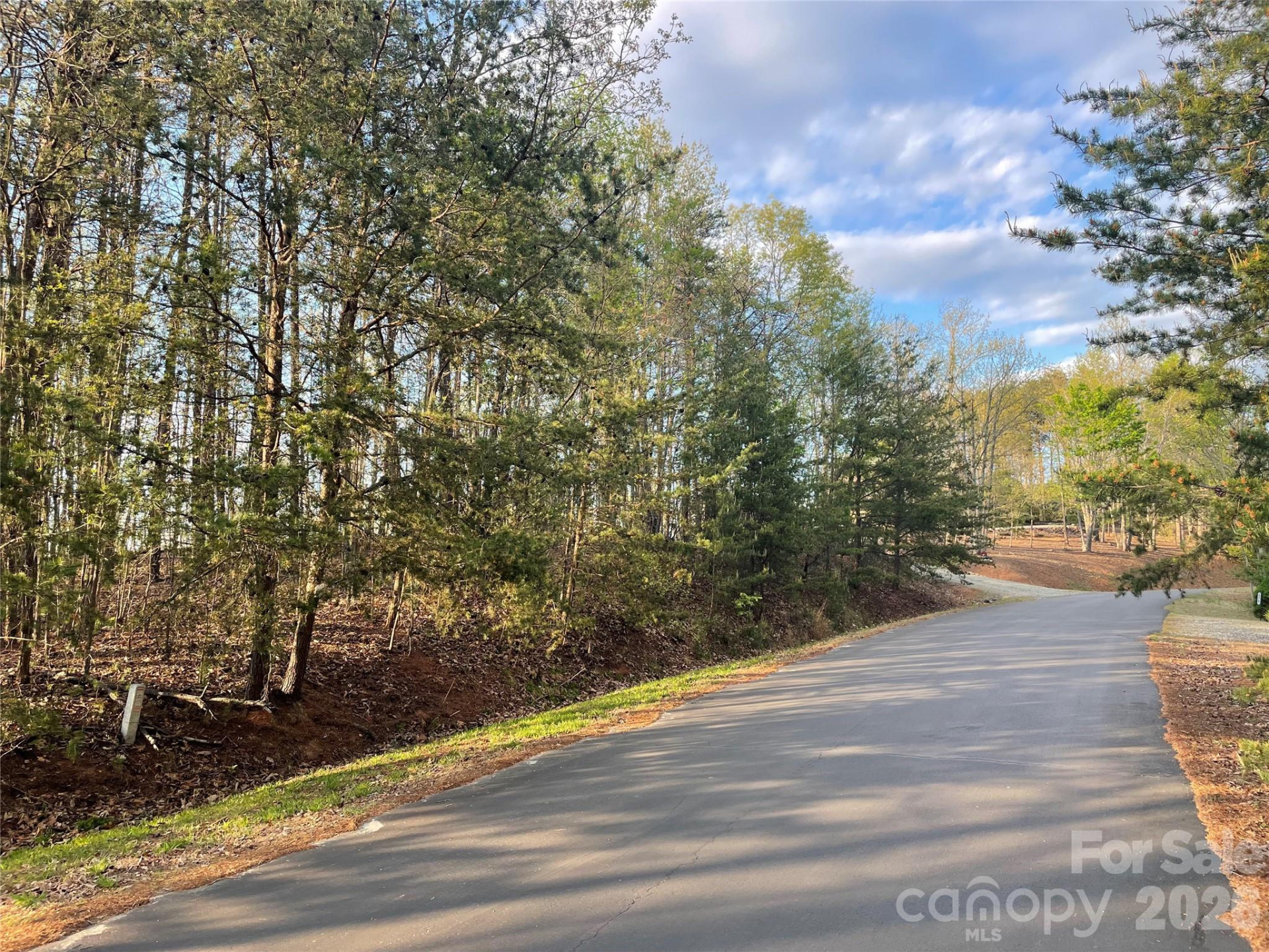 45 Woodgate Drive - Photo 5