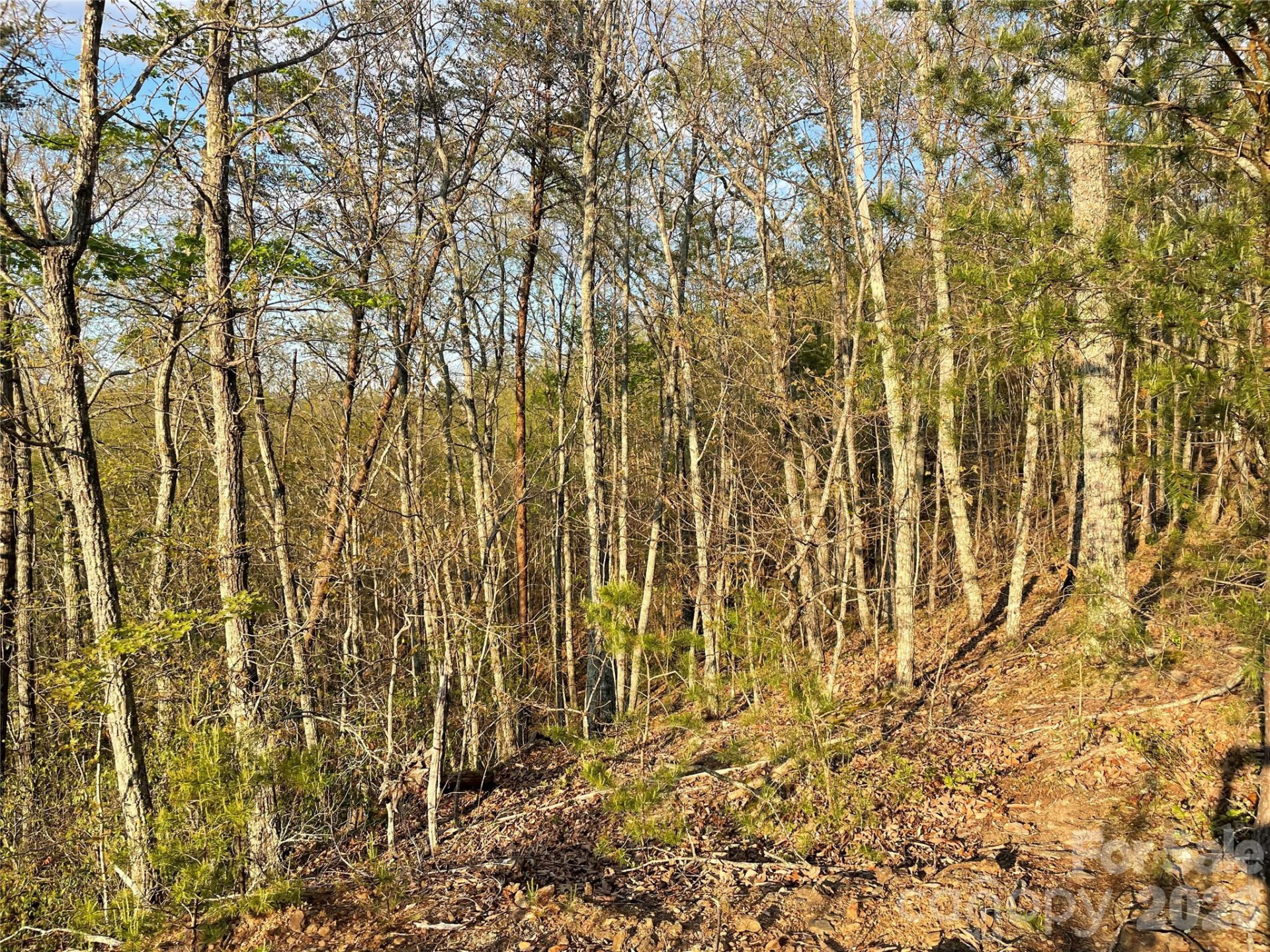 45 Woodgate Drive - Photo 6