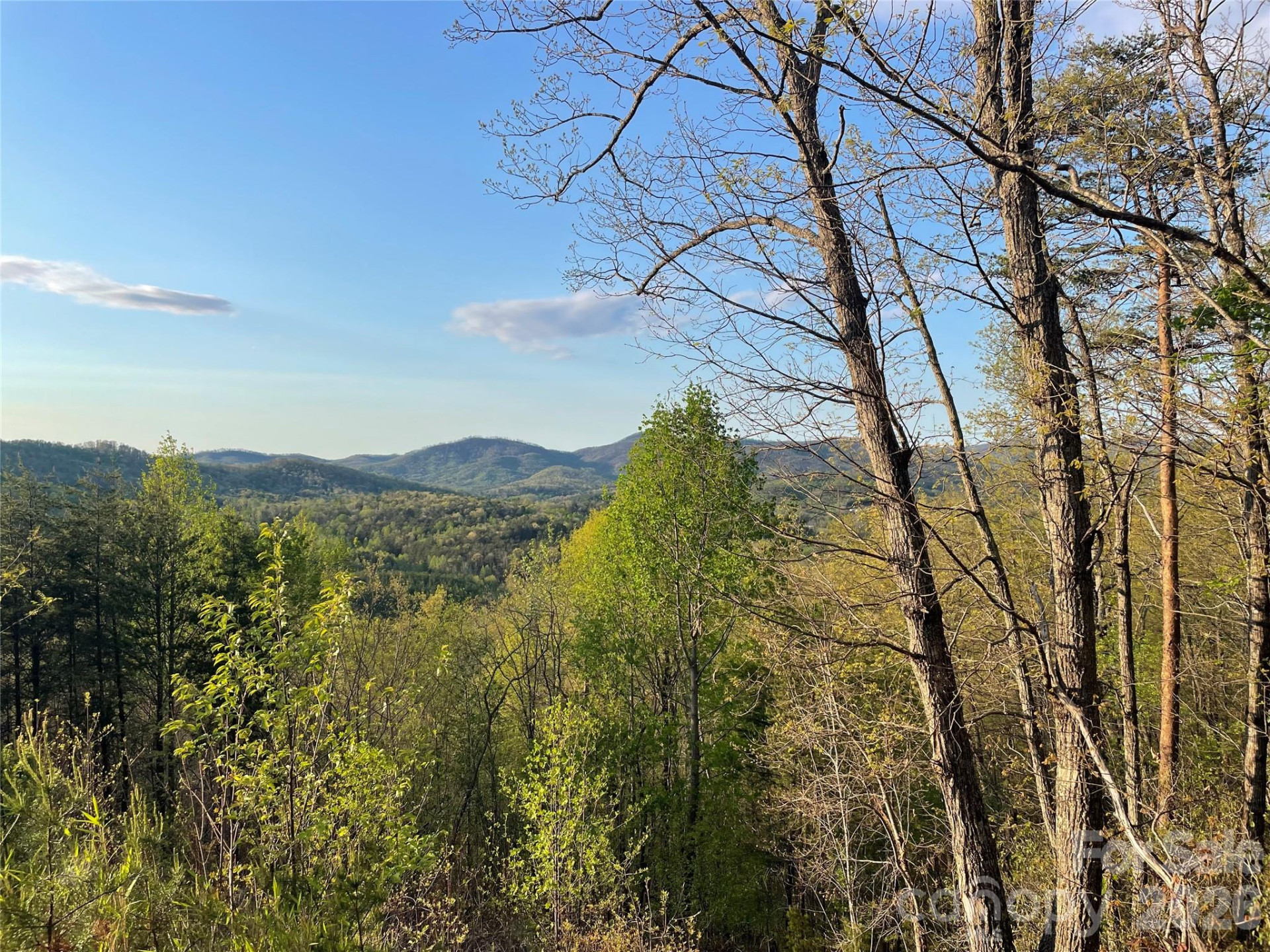 45 Woodgate Drive - Photo 7