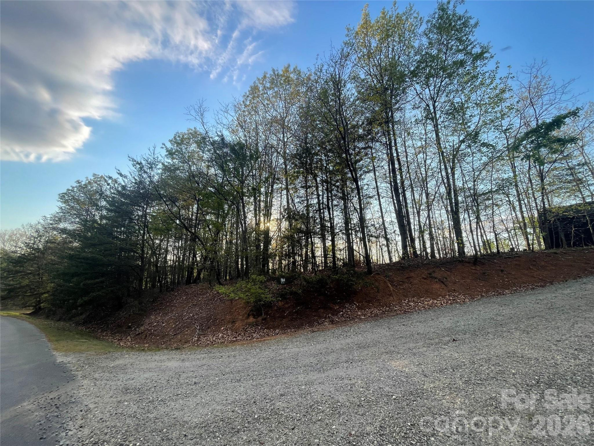 45 Woodgate Drive - Photo 8