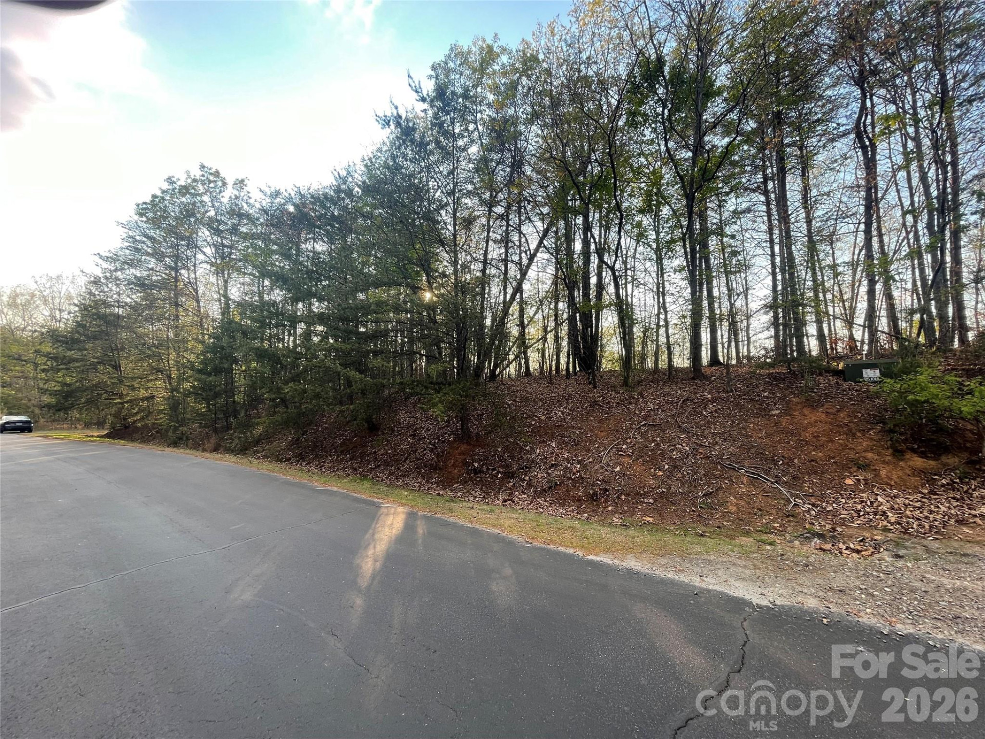 45 Woodgate Drive - Photo 9