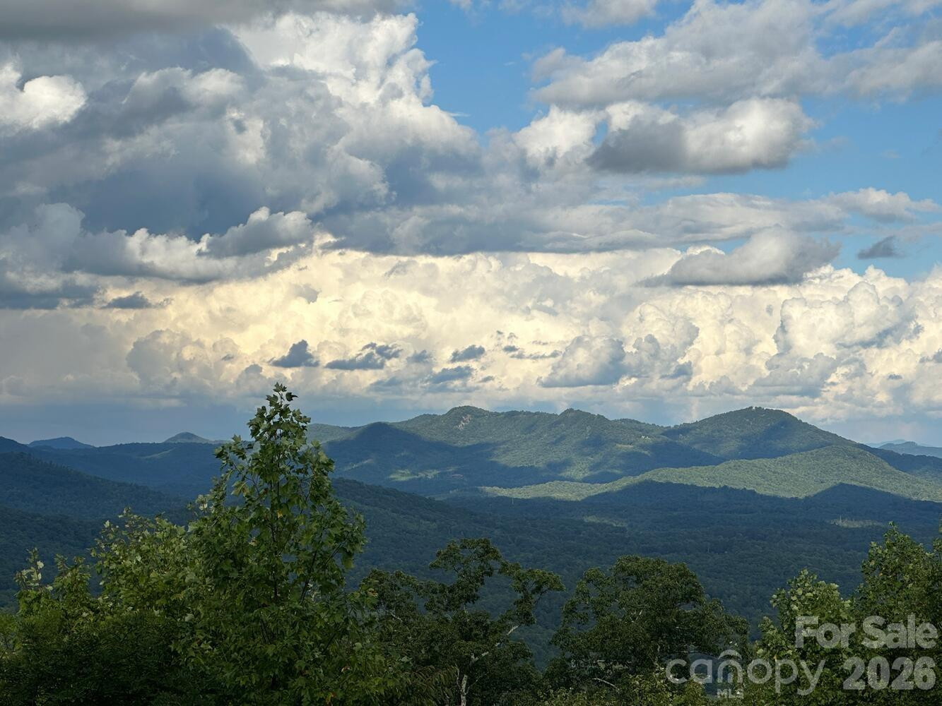 121 Pairofdice Way - Photo 36