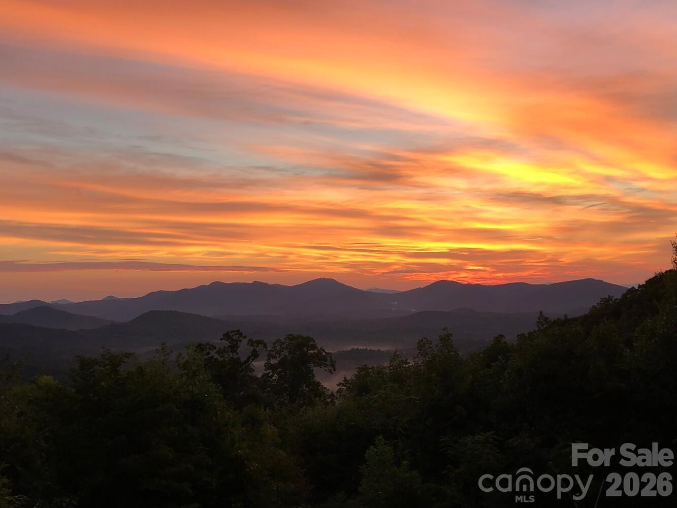 121 Pairofdice Way - Photo 38