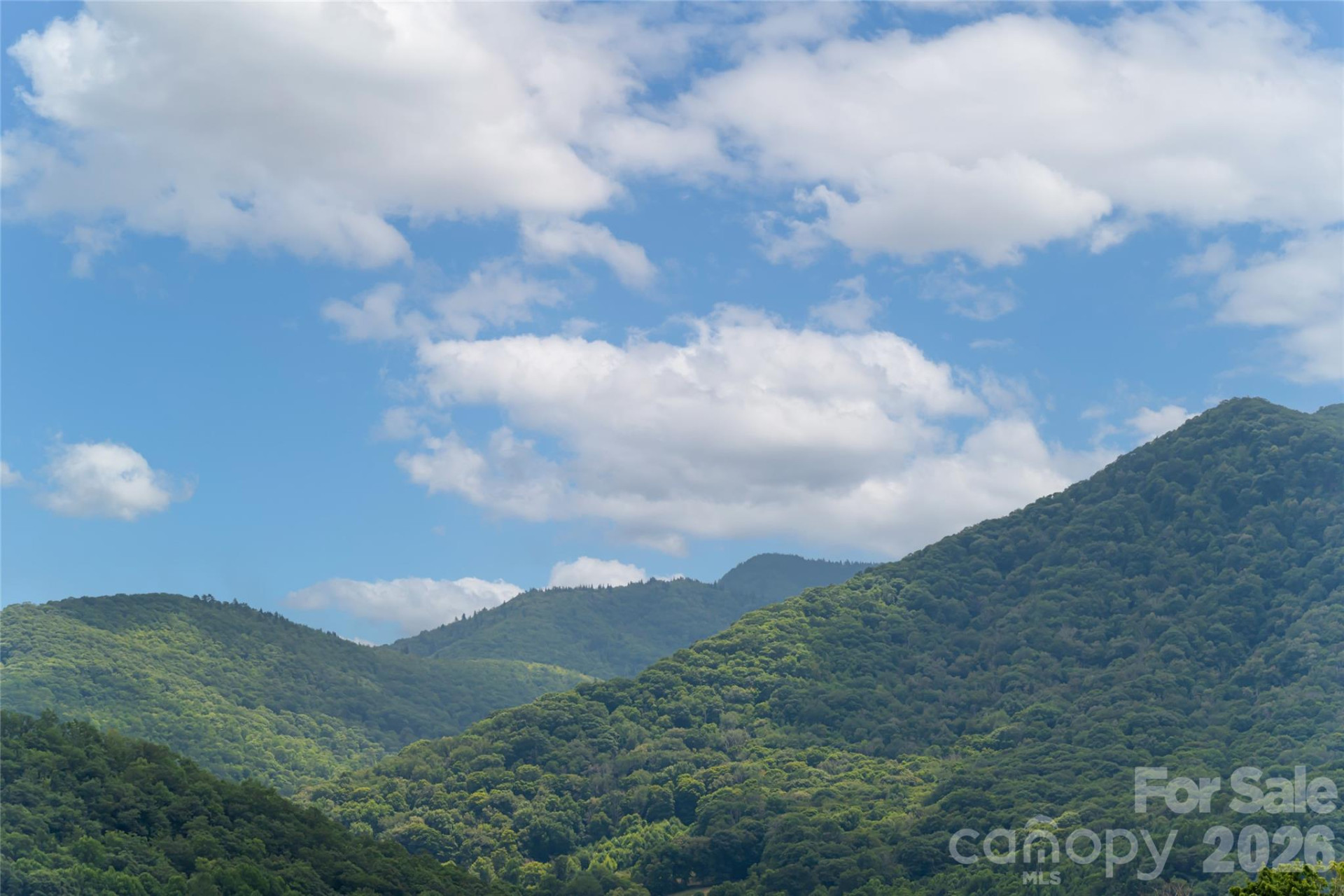 649 Panoramic Loop - Photo 3