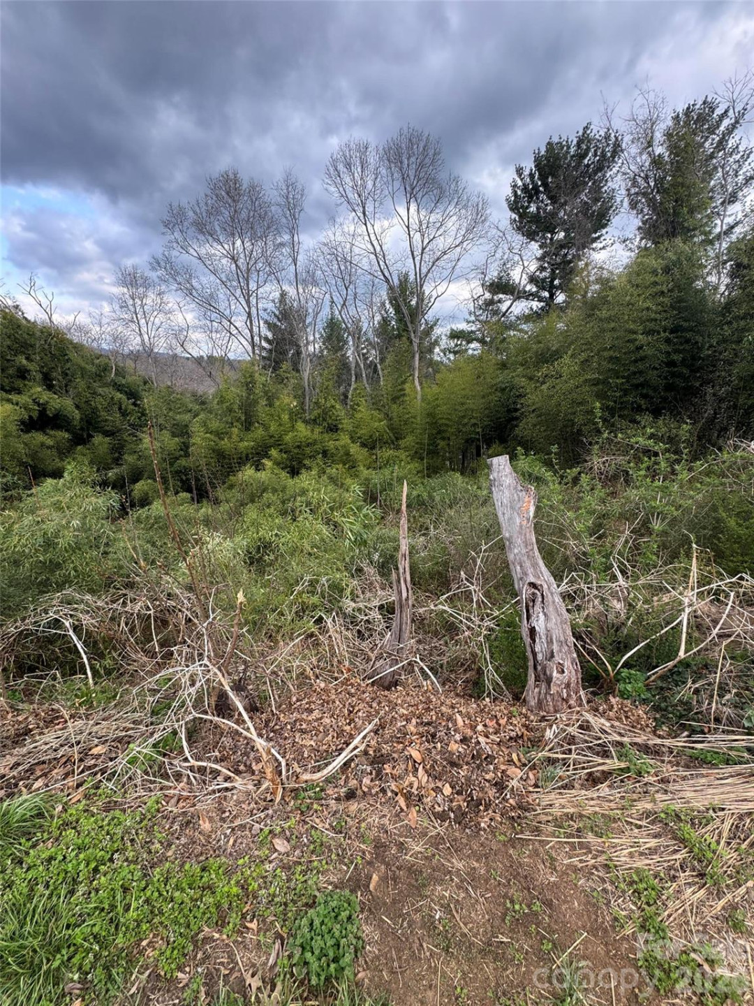 38 Belleair Road - Photo 2