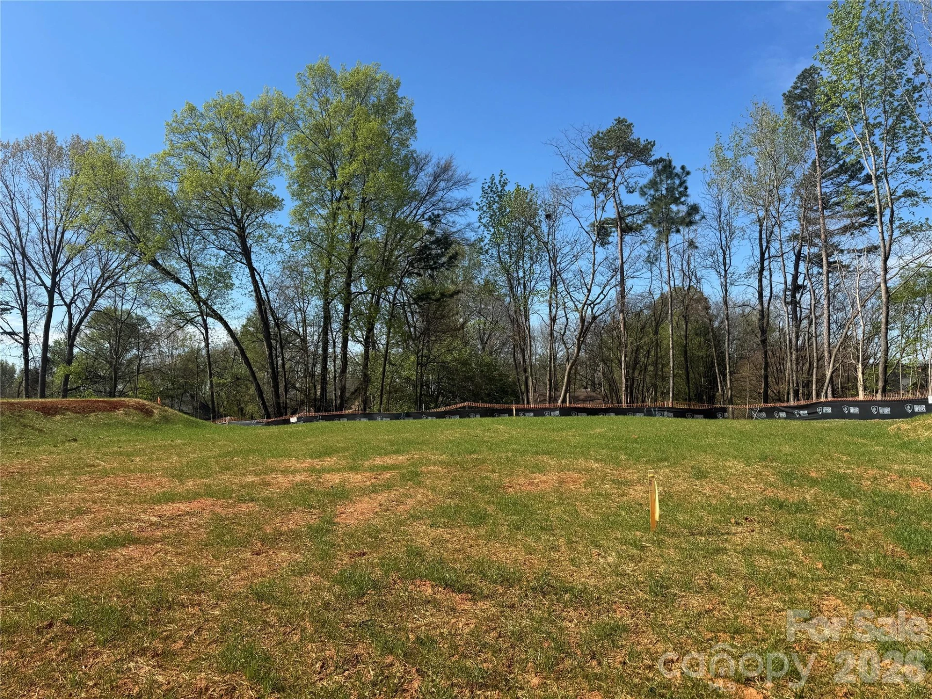 6006 Robert Gray Court #11 - Photo 4