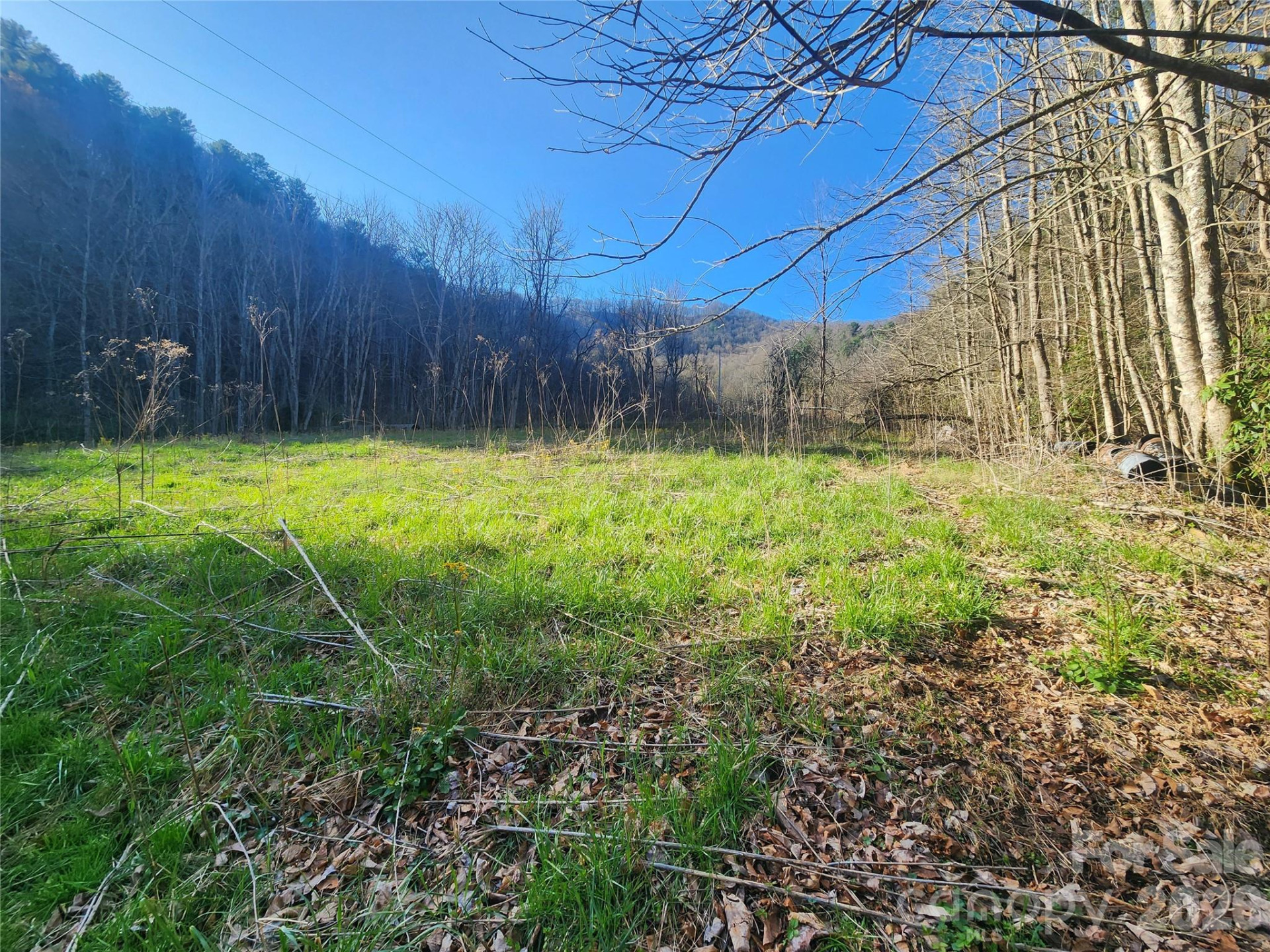 1025 Chandler Cove Road - Photo 30