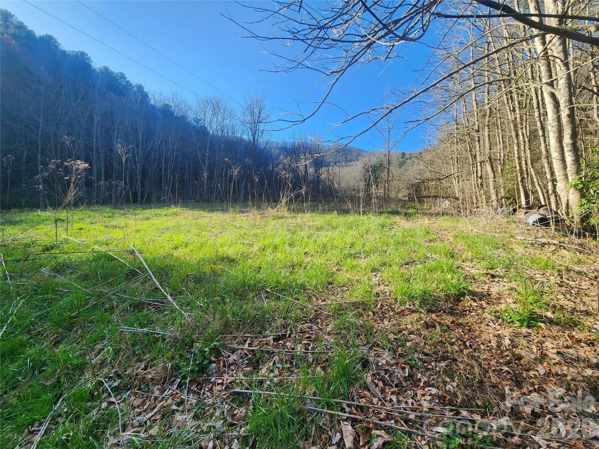 1025 Chandler Cove Road - Photo 30