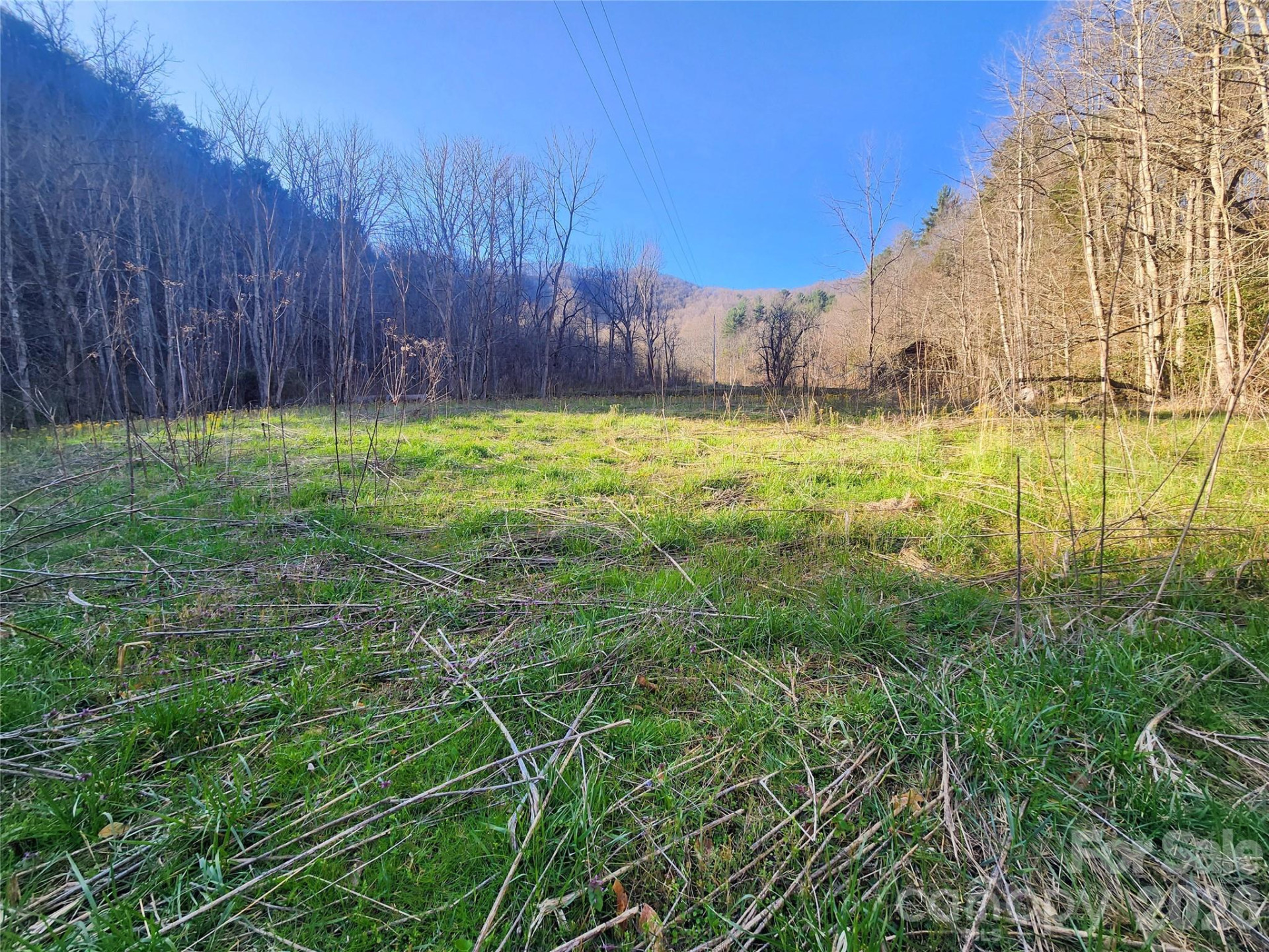 1025 Chandler Cove Road - Photo 31