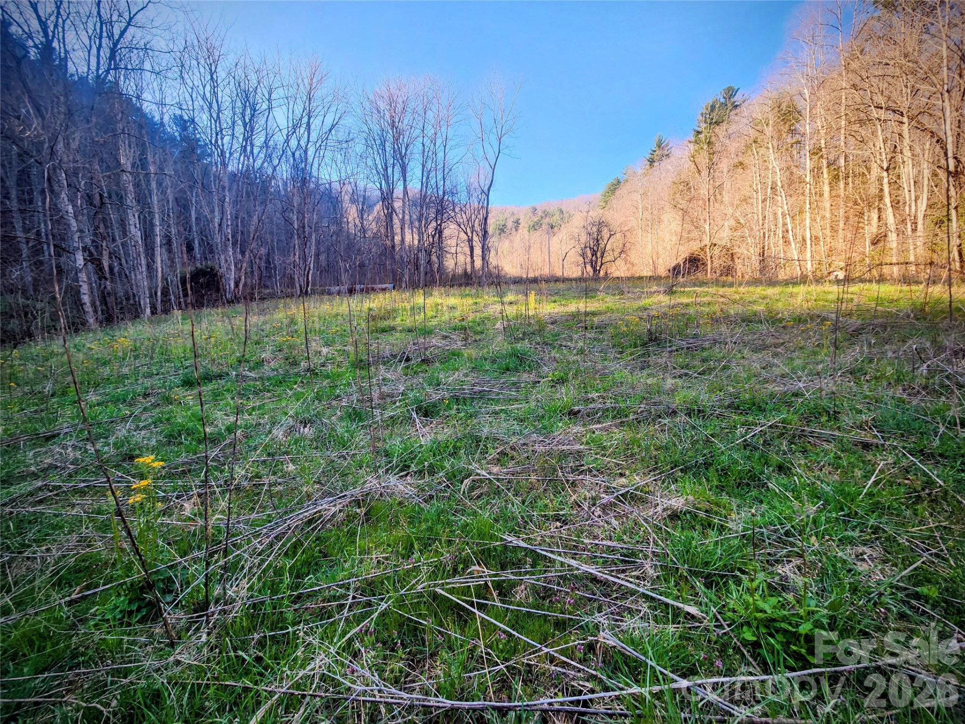 1025 Chandler Cove Road - Photo 33