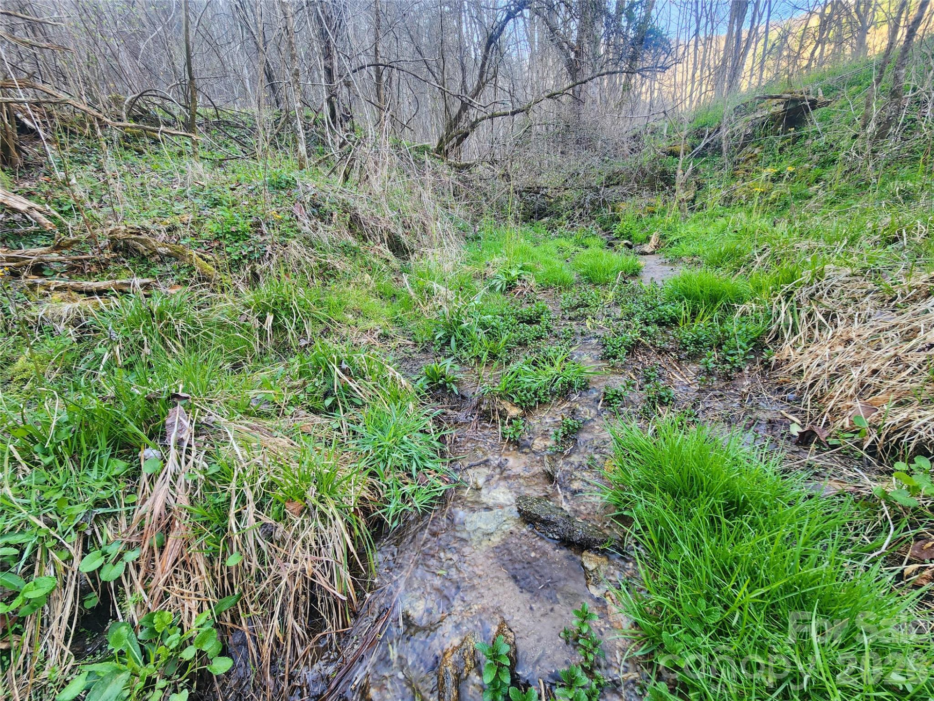 1025 Chandler Cove Road - Photo 35