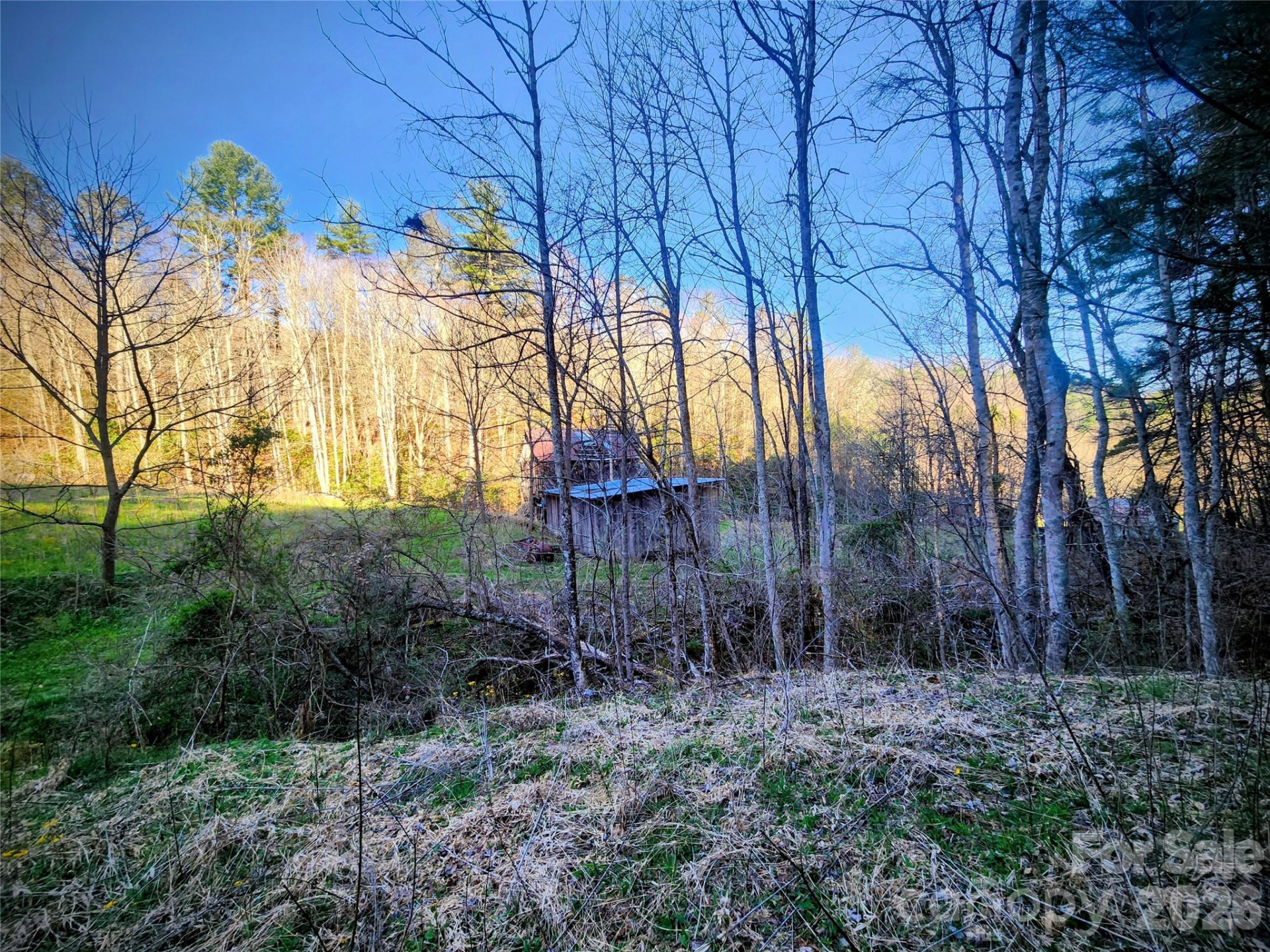 1025 Chandler Cove Road - Photo 36