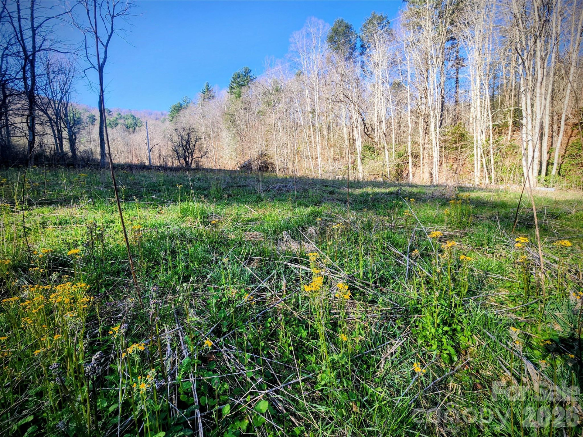 1025 Chandler Cove Road - Photo 37