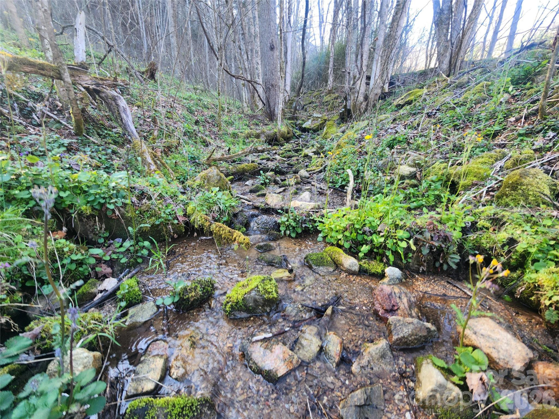 1025 Chandler Cove Road - Photo 39