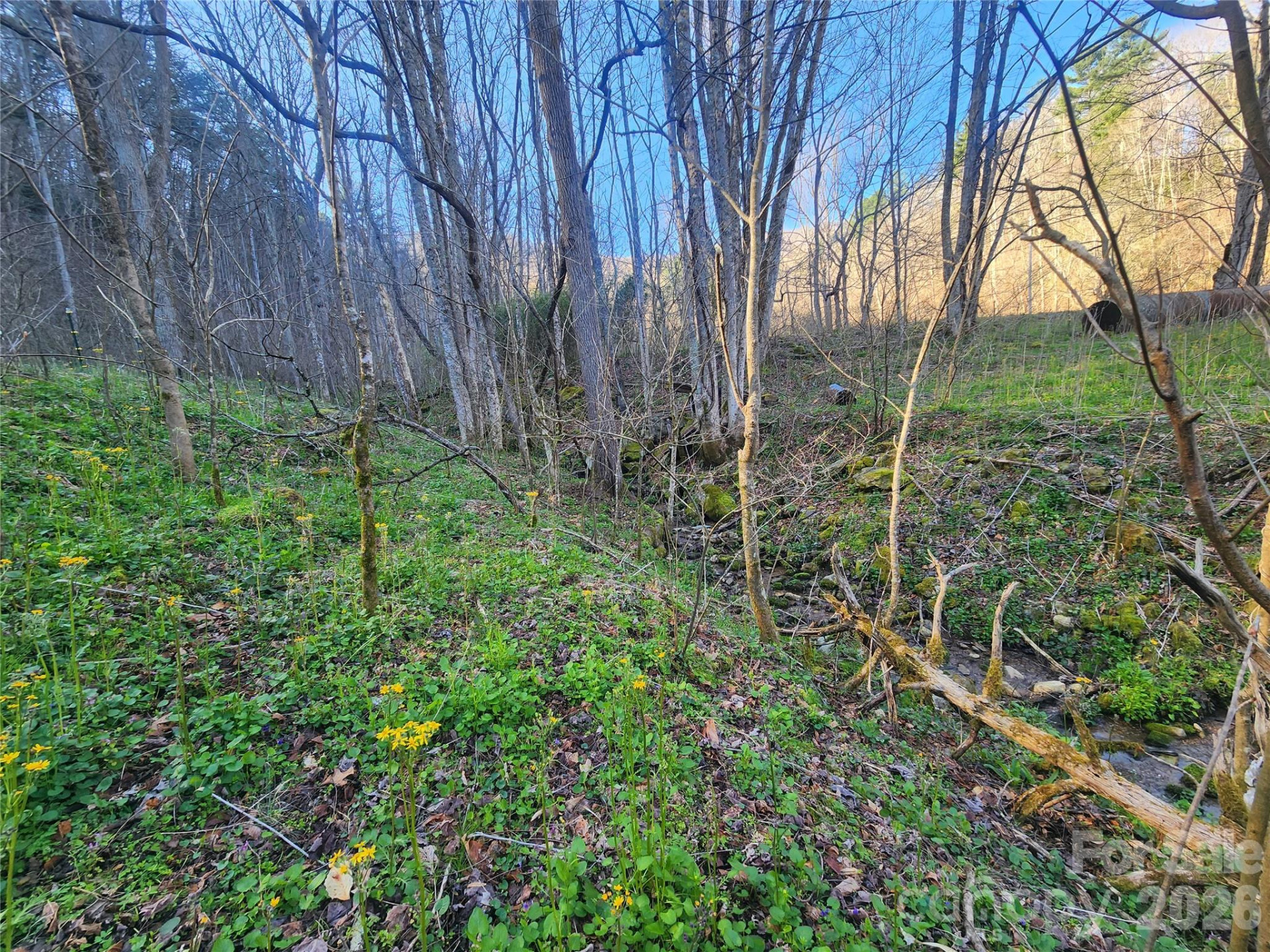 1025 Chandler Cove Road - Photo 40