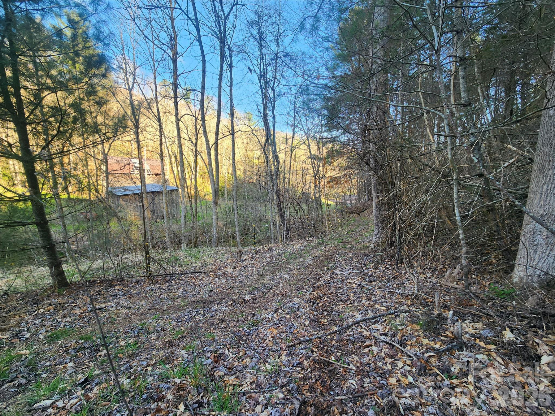 1025 Chandler Cove Road - Photo 44