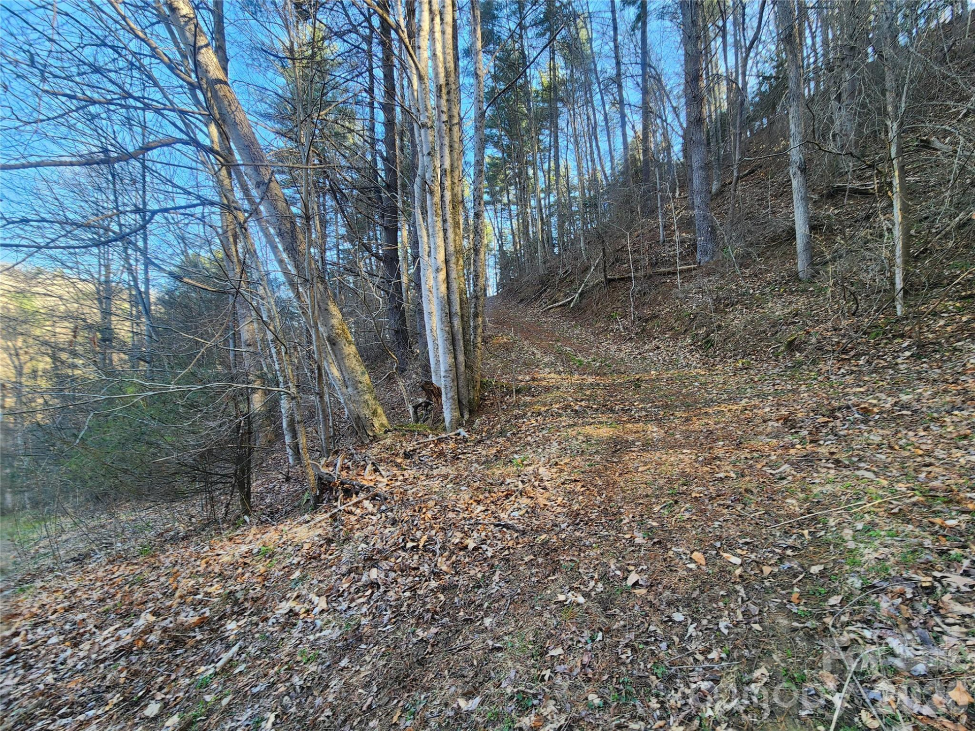 1025 Chandler Cove Road - Photo 45