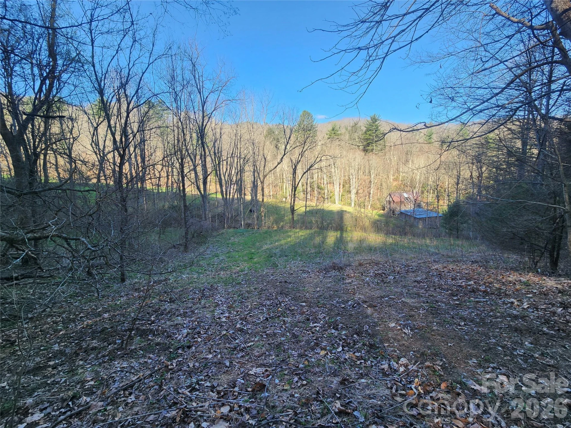 1025 Chandler Cove Road - Photo 46