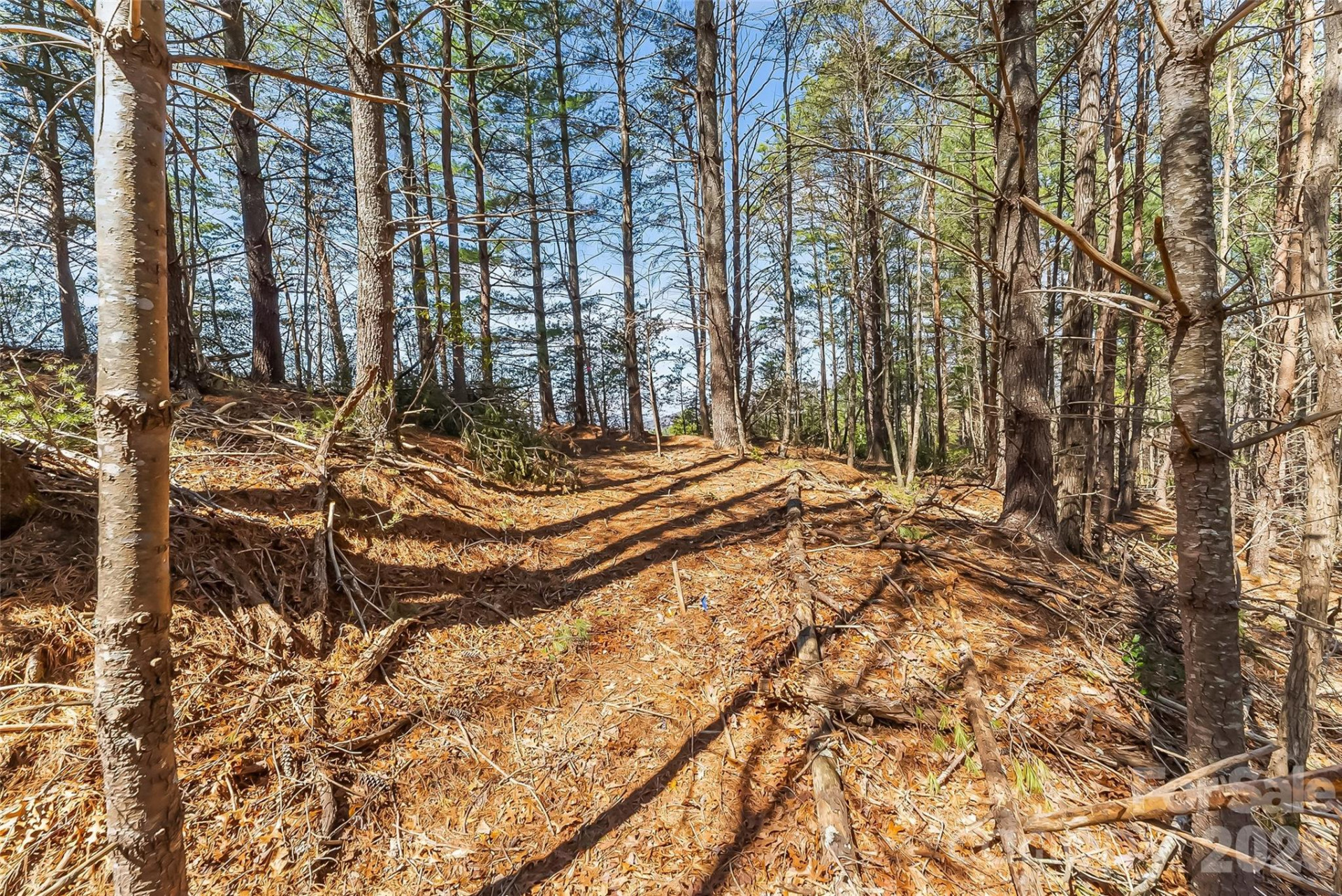 121 Lake Crest Drive #lot 37 & 36 - Photo 11
