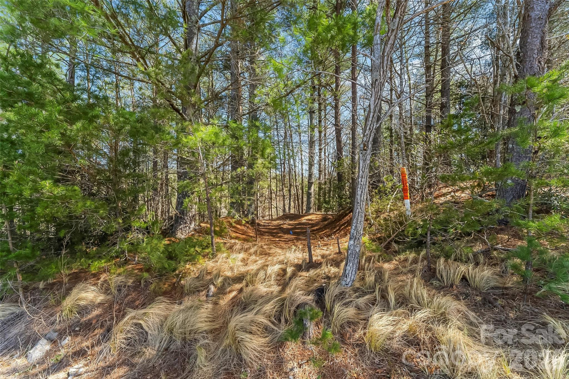 121 Lake Crest Drive #lot 37 & 36 - Photo 12