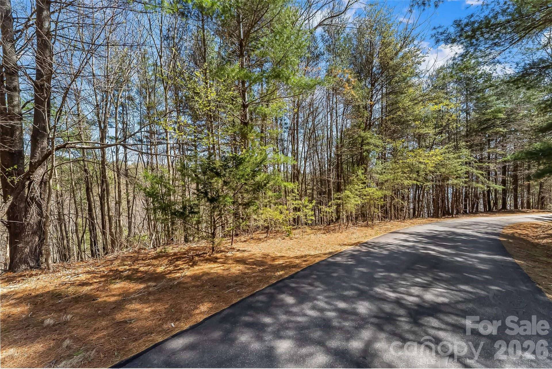 121 Lake Crest Drive #lot 37 & 36 - Photo 14