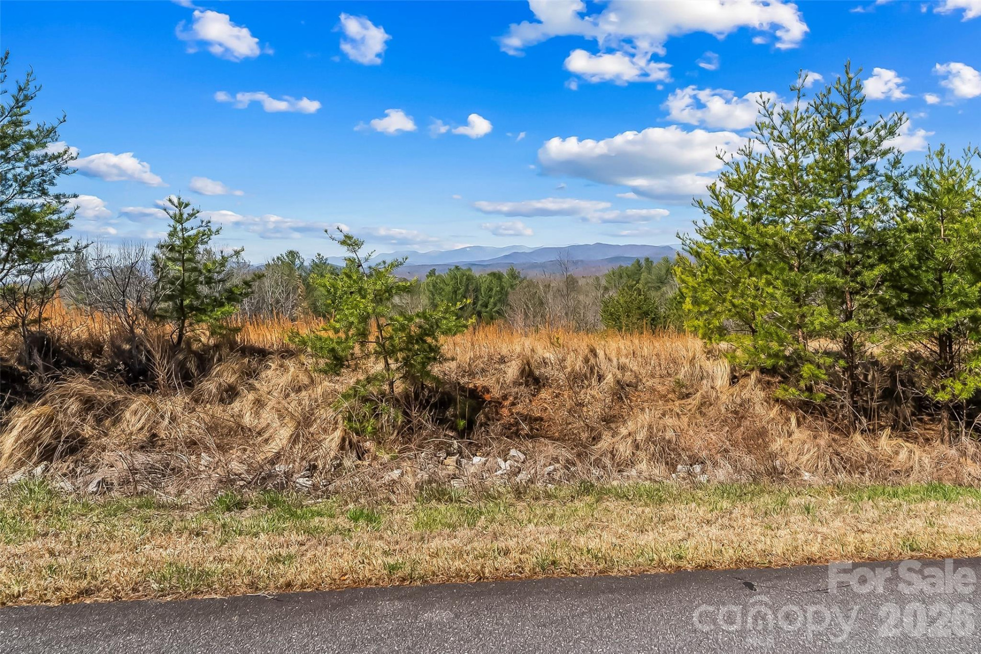 121 Lake Crest Drive #lot 37 & 36 - Photo 3