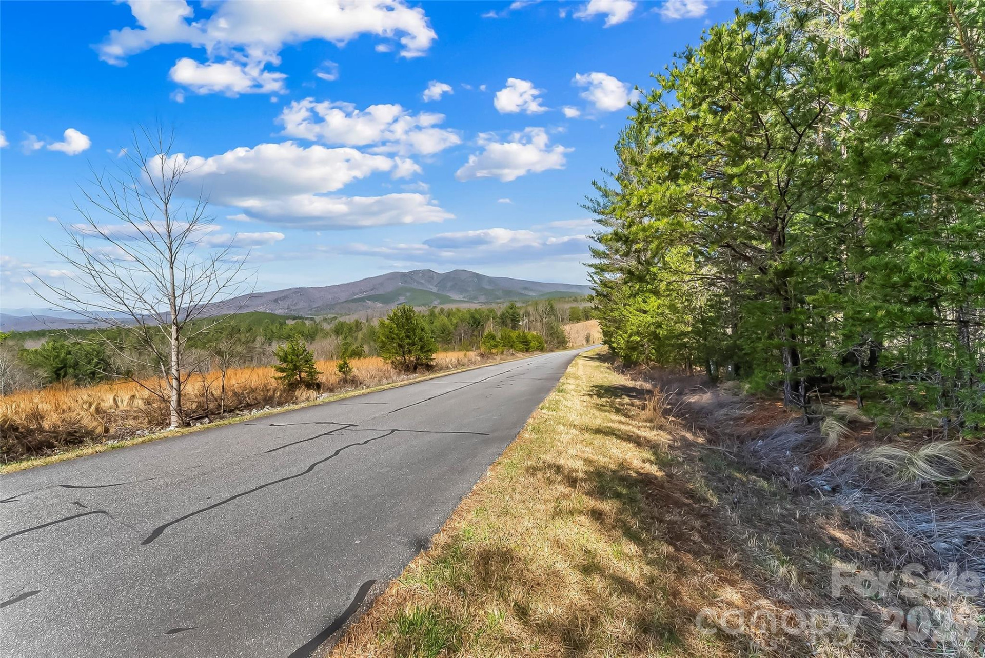 121 Lake Crest Drive #lot 37 & 36 - Photo 4