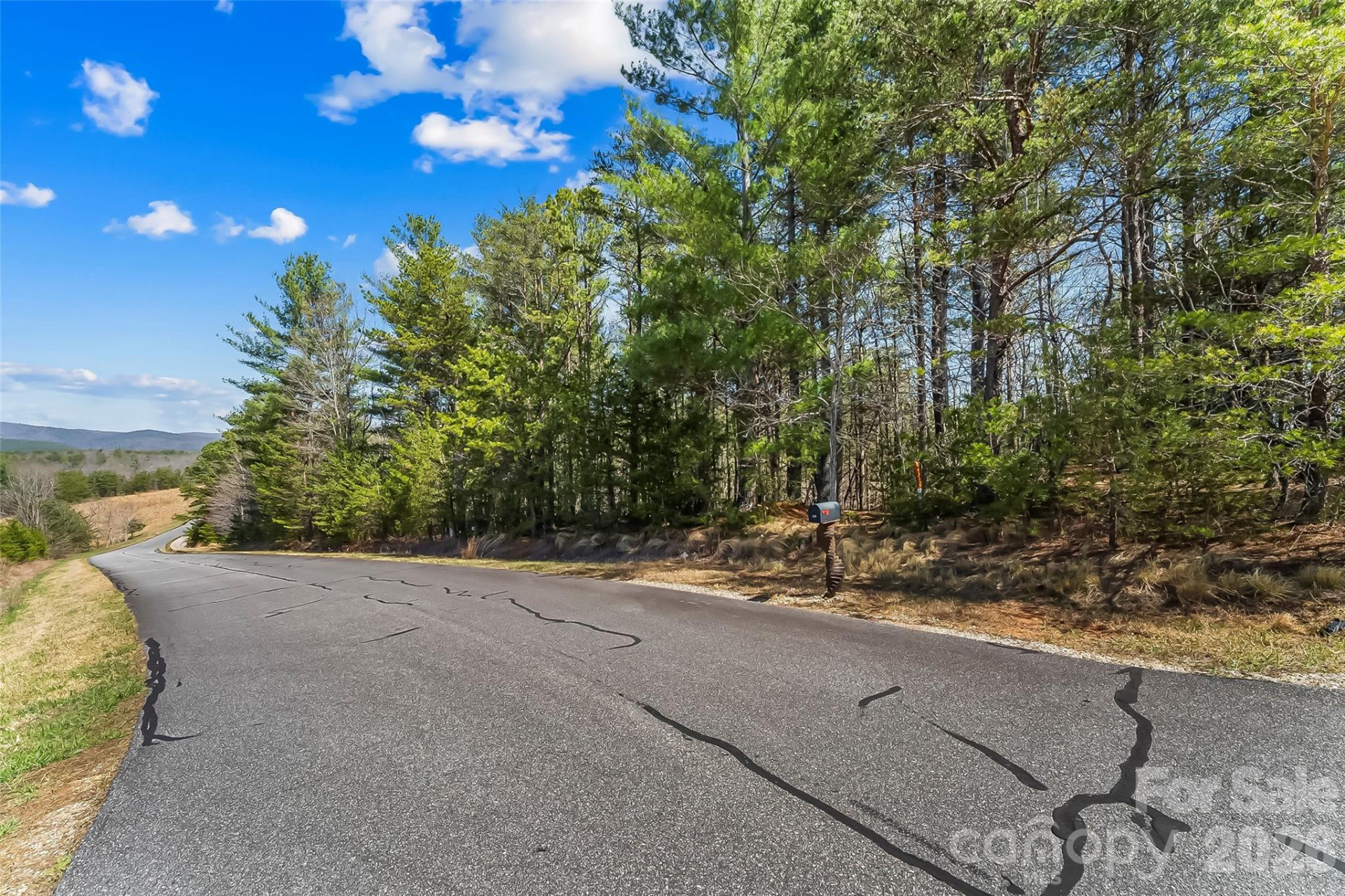 121 Lake Crest Drive #lot 37 & 36 - Photo 5