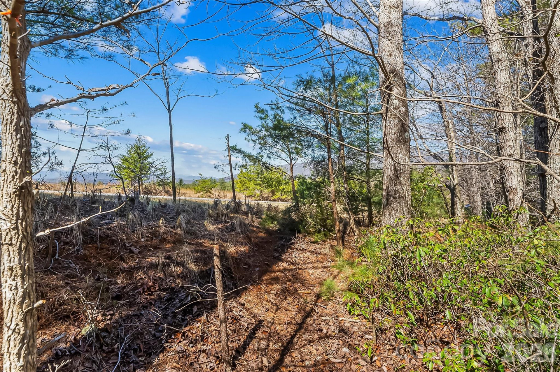 121 Lake Crest Drive #lot 37 & 36 - Photo 7