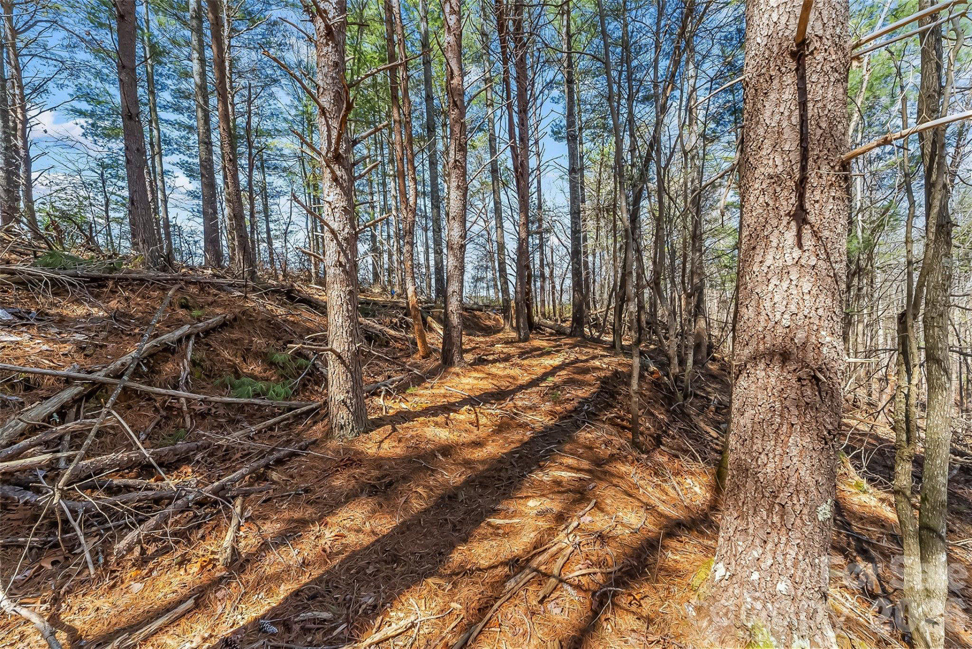 121 Lake Crest Drive #lot 37 & 36 - Photo 8