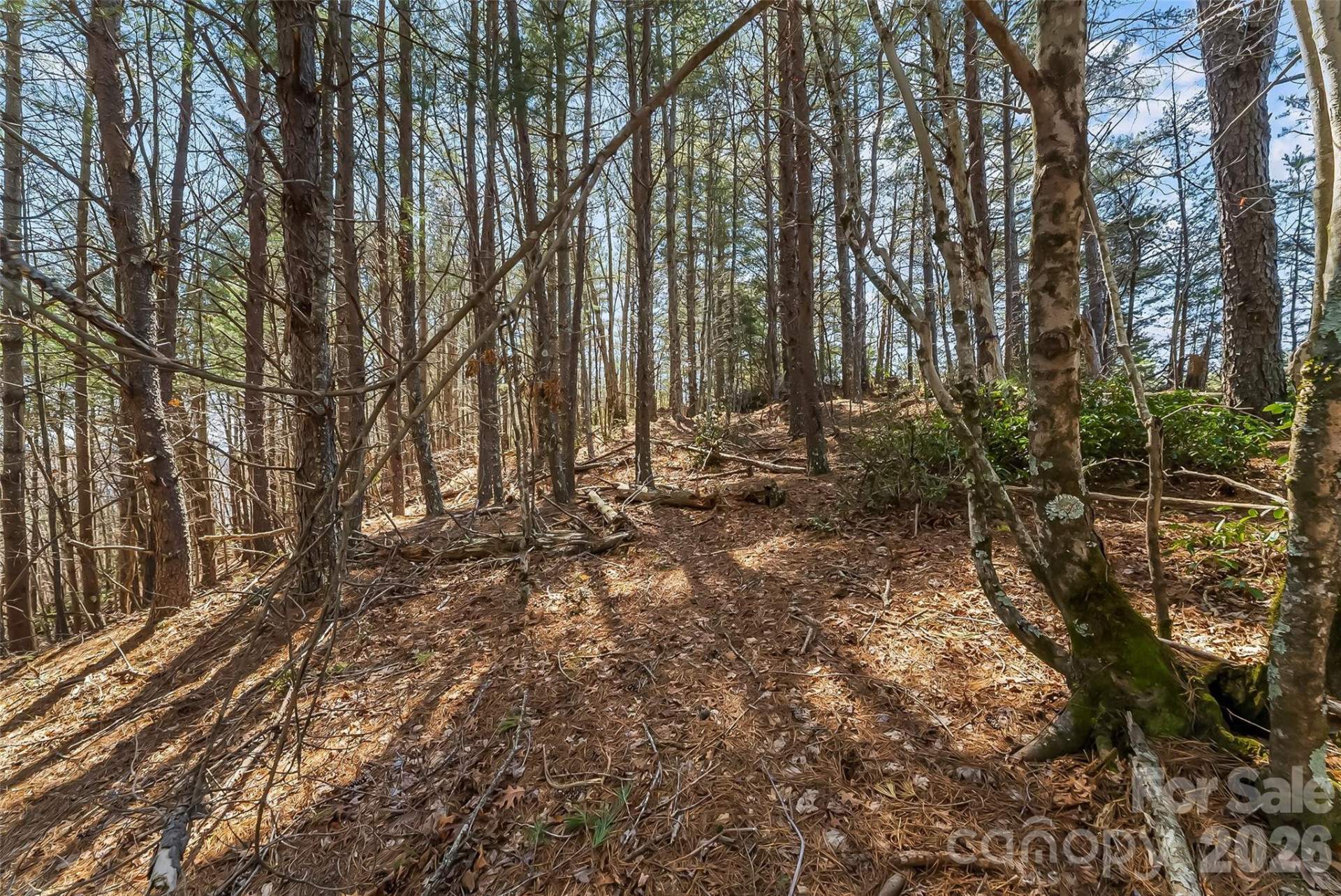 121 Lake Crest Drive #lot 37 & 36 - Photo 9