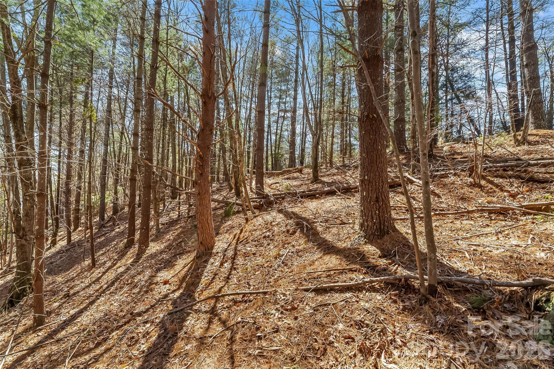 121 Lake Crest Drive #lot 37 & 36 - Photo 10