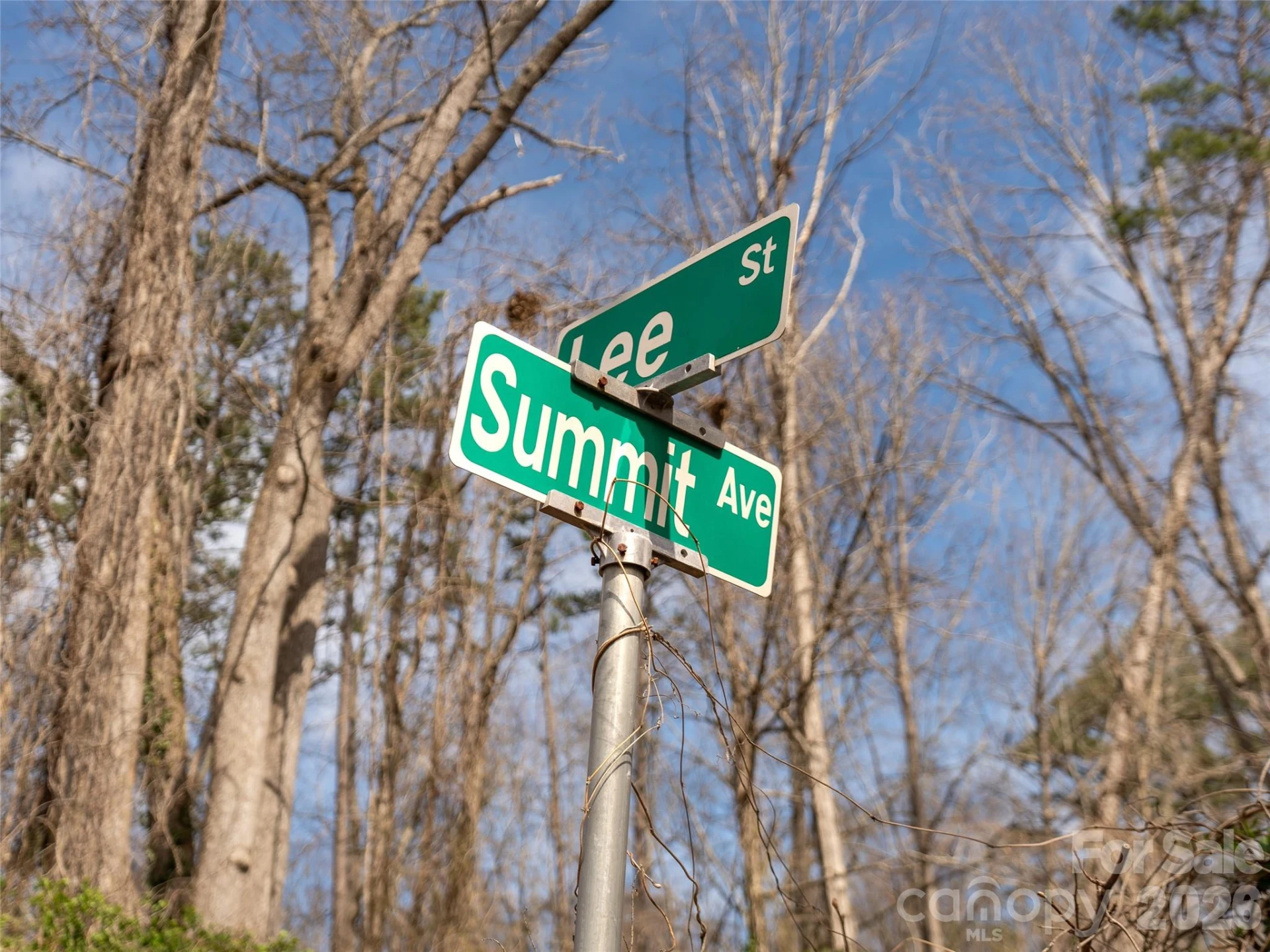 99999 Summit Avenue #A - Photo 7