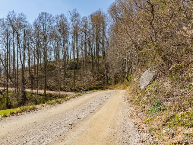 TBD Dads Retreat Trail, Canton, NC, 28716