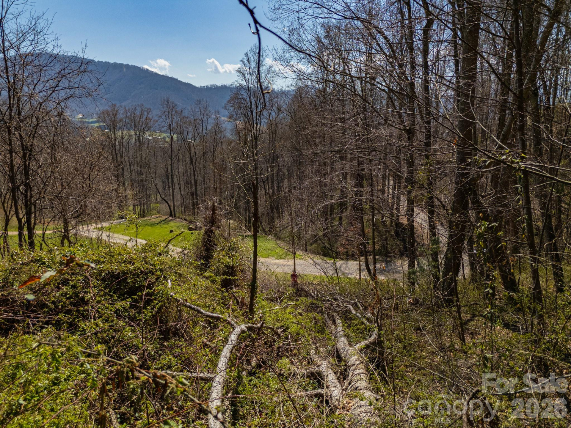 TBD Dads Retreat Trail - Photo 16