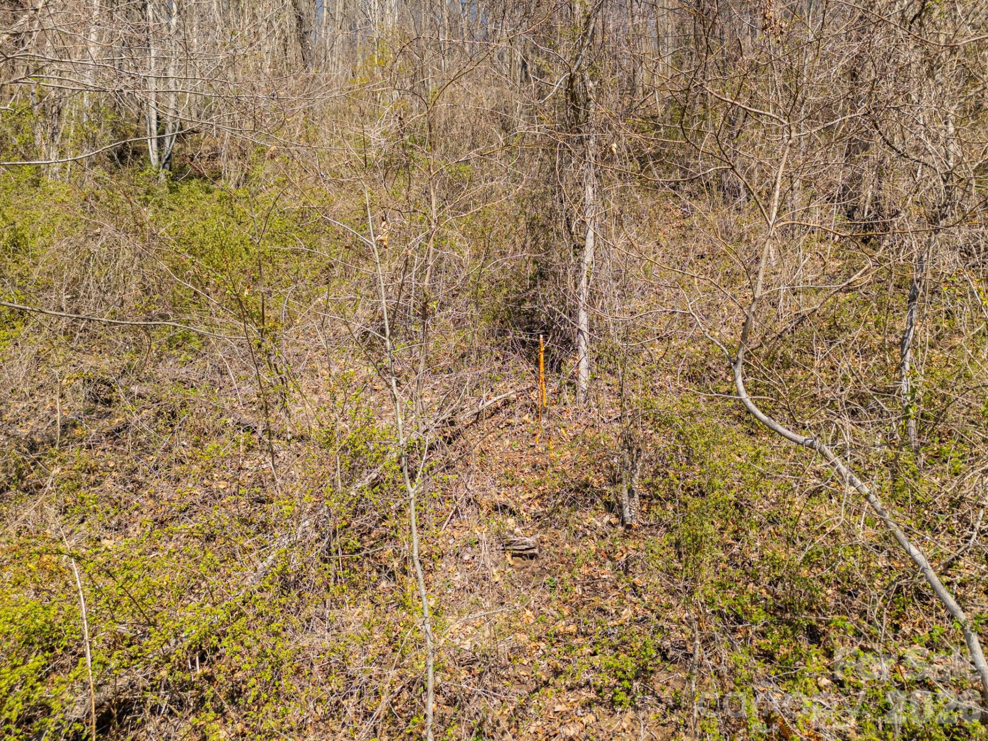 TBD Dads Retreat Trail - Photo 20