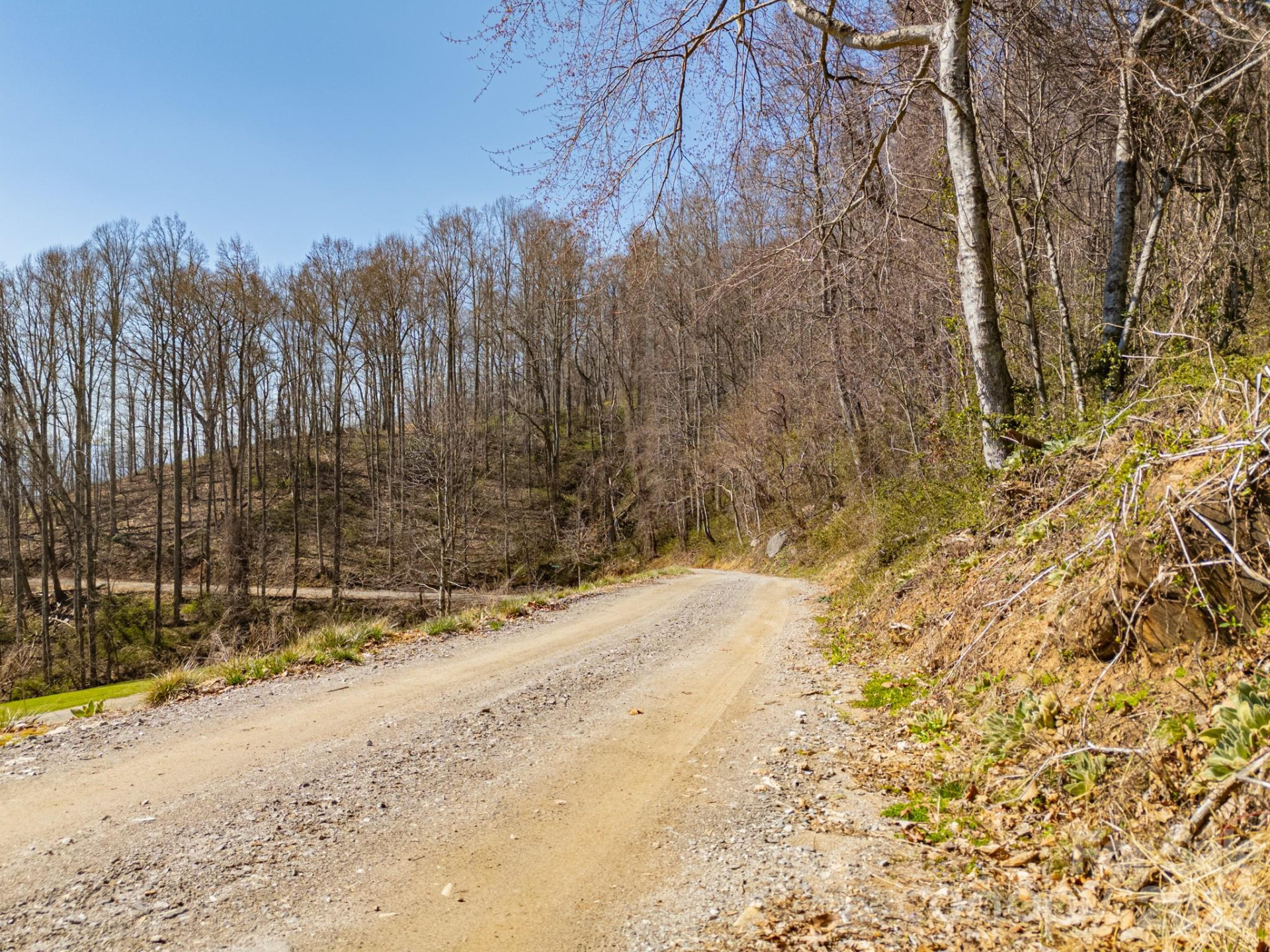 TBD Dads Retreat Trail - Photo 22