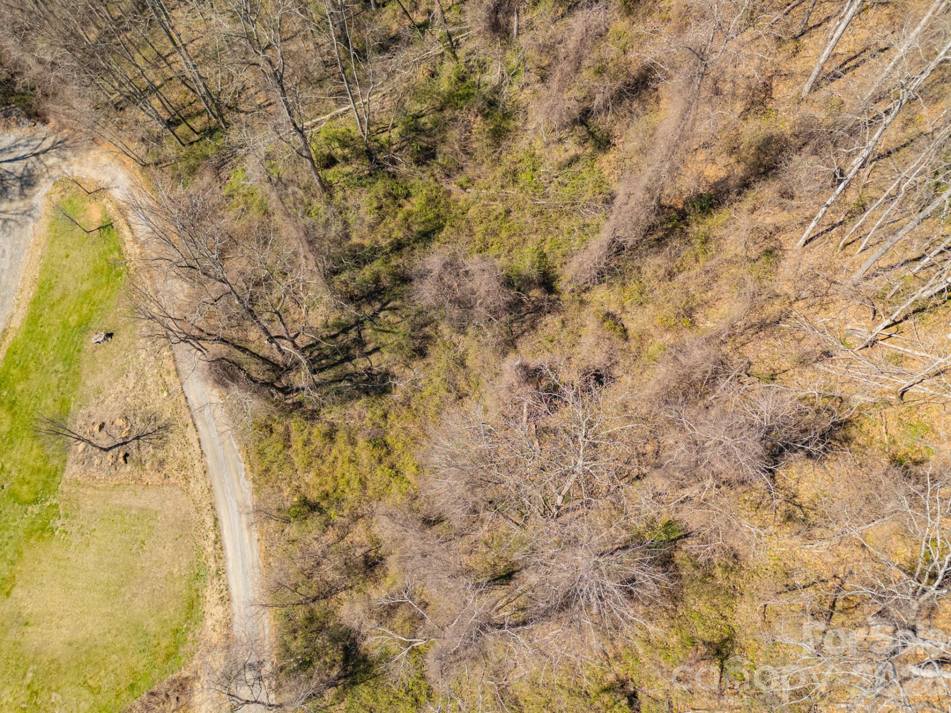 TBD Dads Retreat Trail - Photo 23