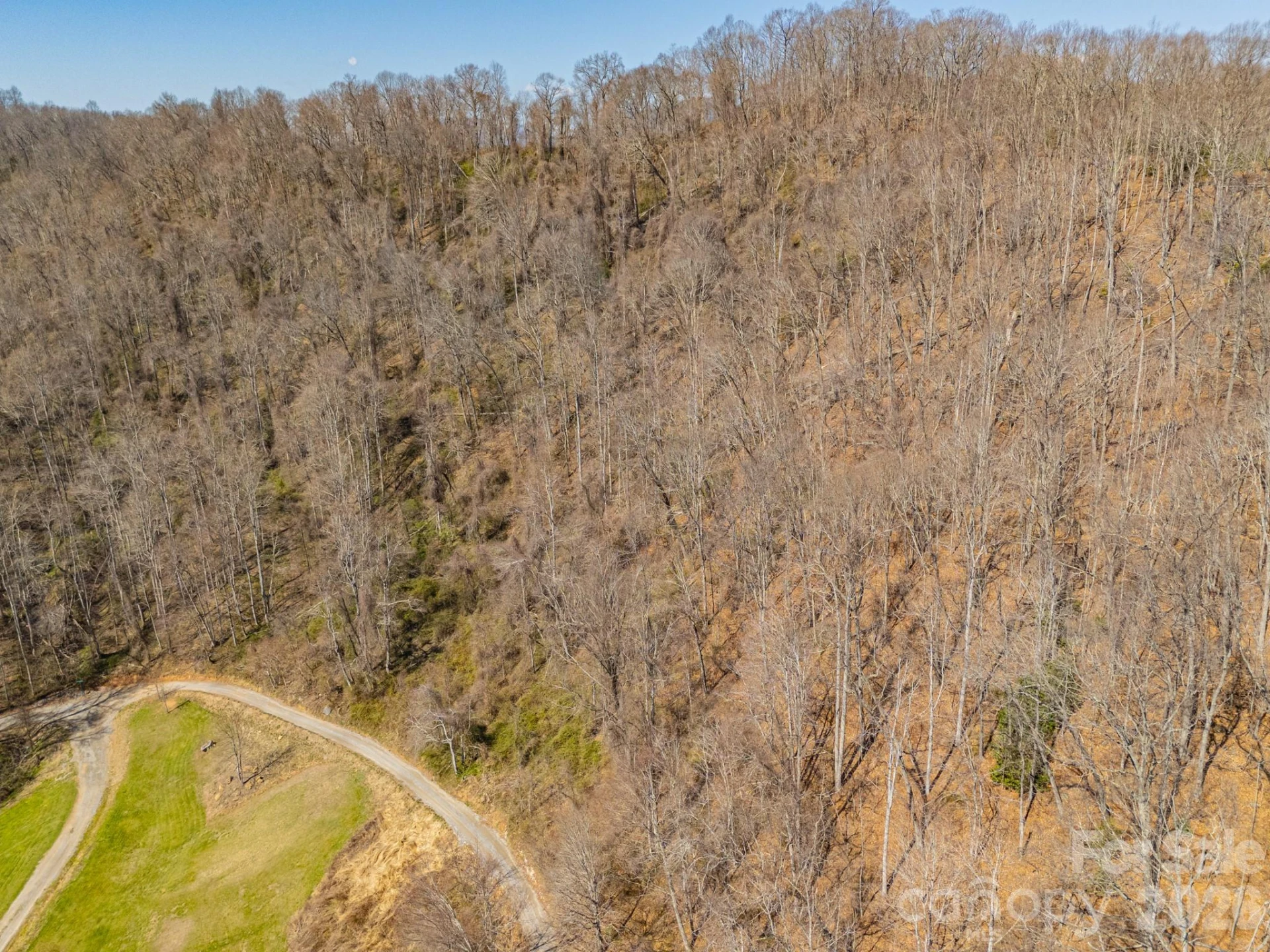 TBD Dads Retreat Trail - Photo 24