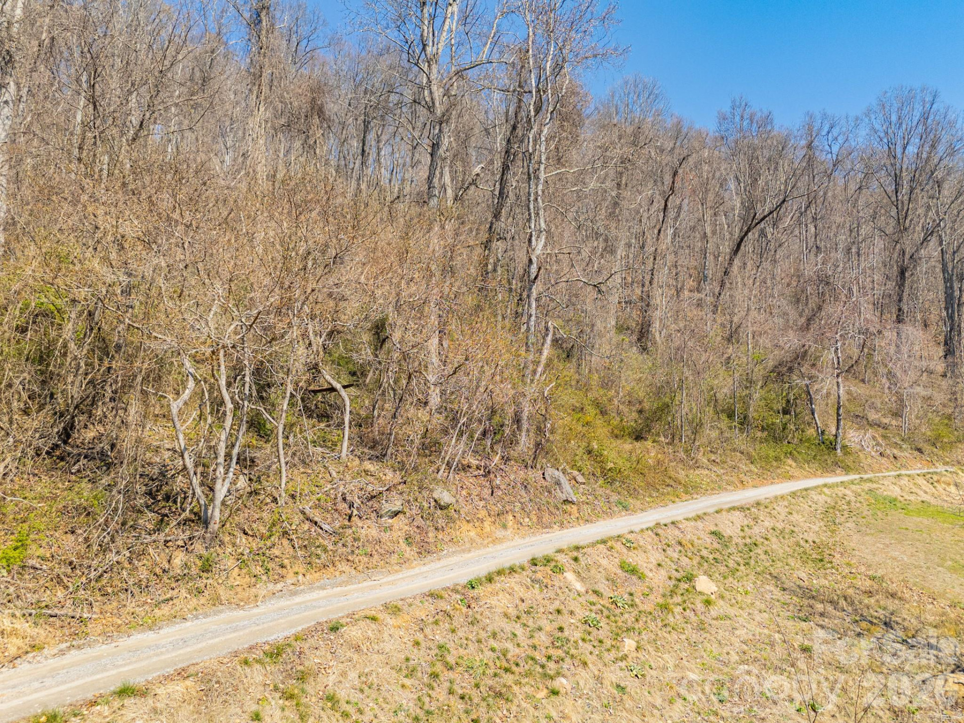 TBD Dads Retreat Trail - Photo 5