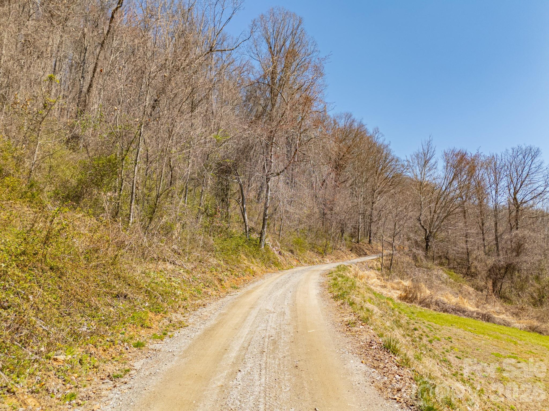 TBD Dads Retreat Trail - Photo 9