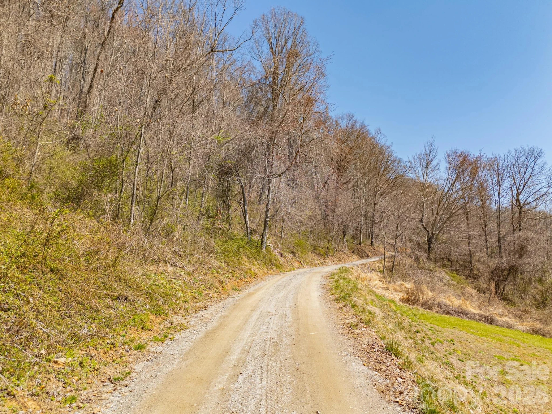 TBD Dads Retreat Trail - Photo 9