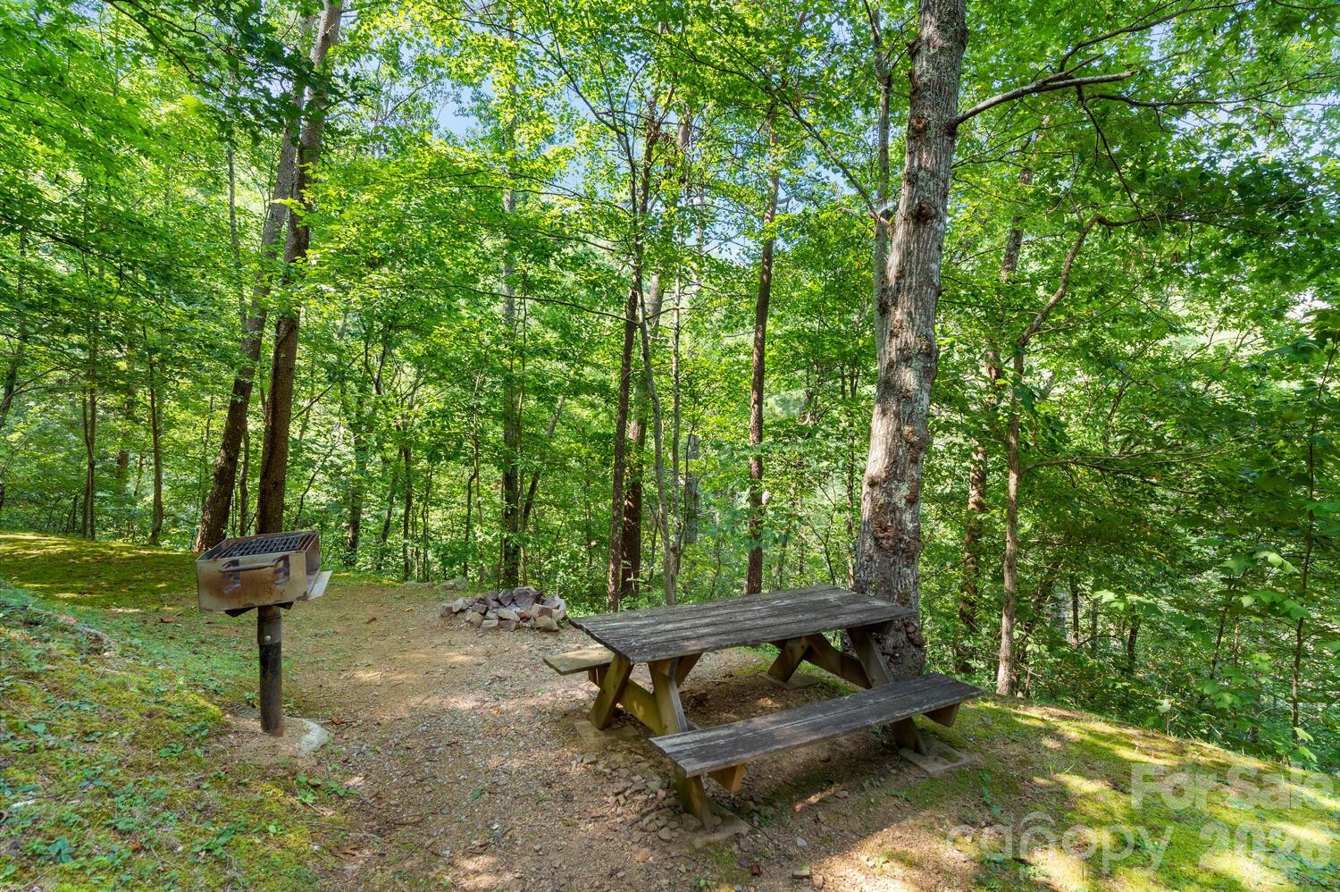 264 Rebel Drive - Photo 8